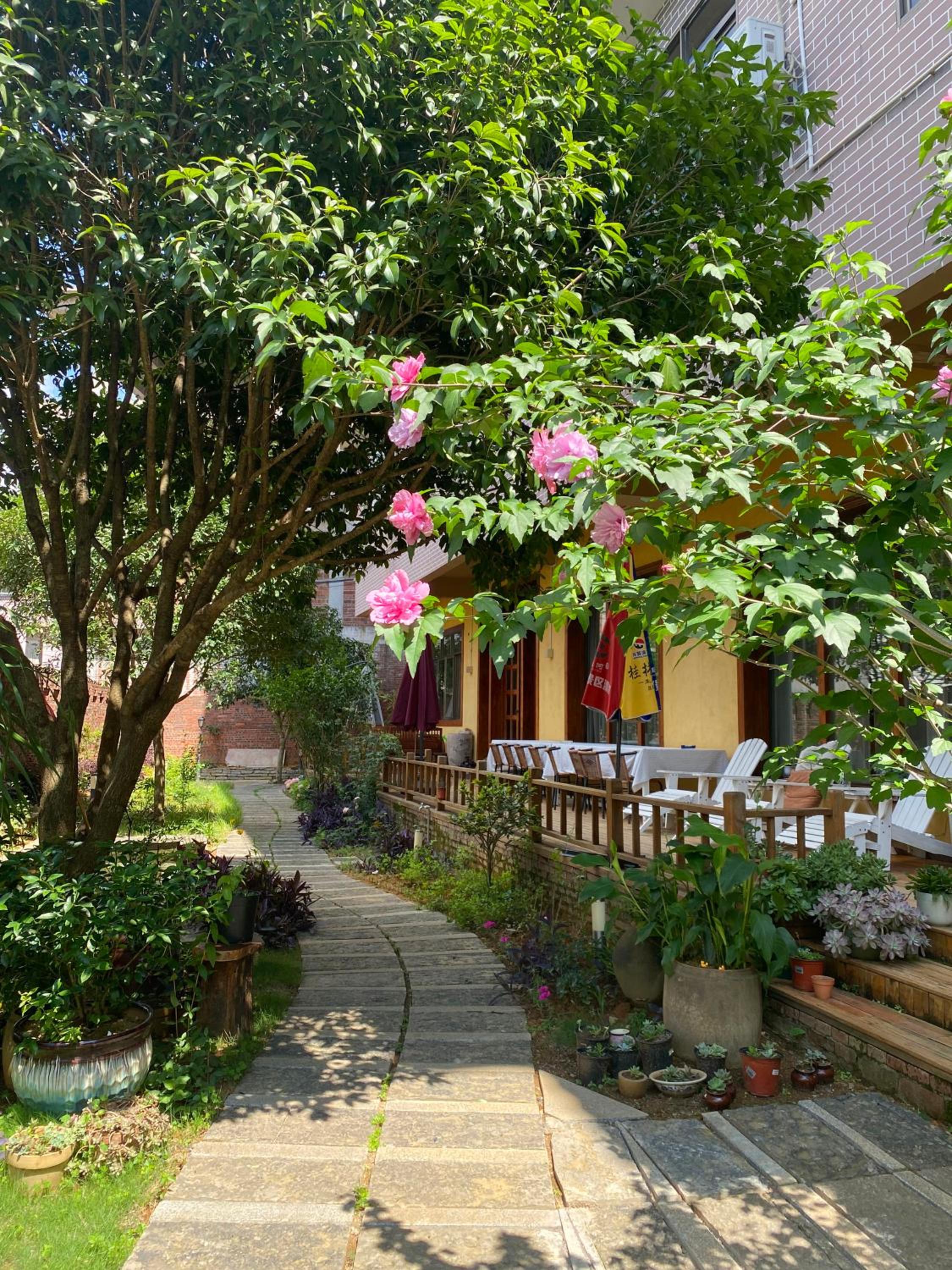 Yangshuo Eden's Social Guesthouse - Wake up to a hearty Western breakfast & fresh craft coffee & night beers & outdoor activities