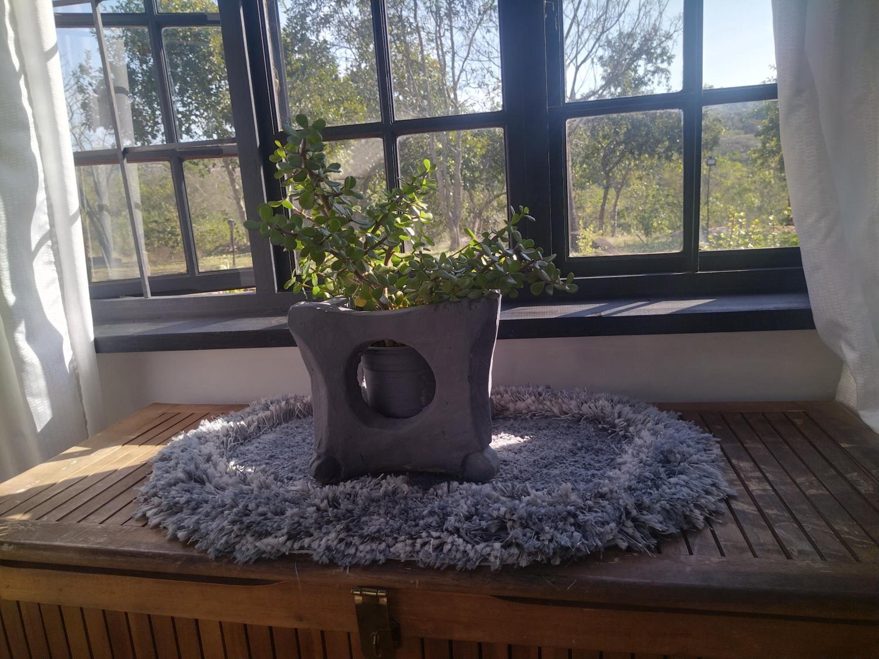 HomeSweetHome: Cozy Tiny