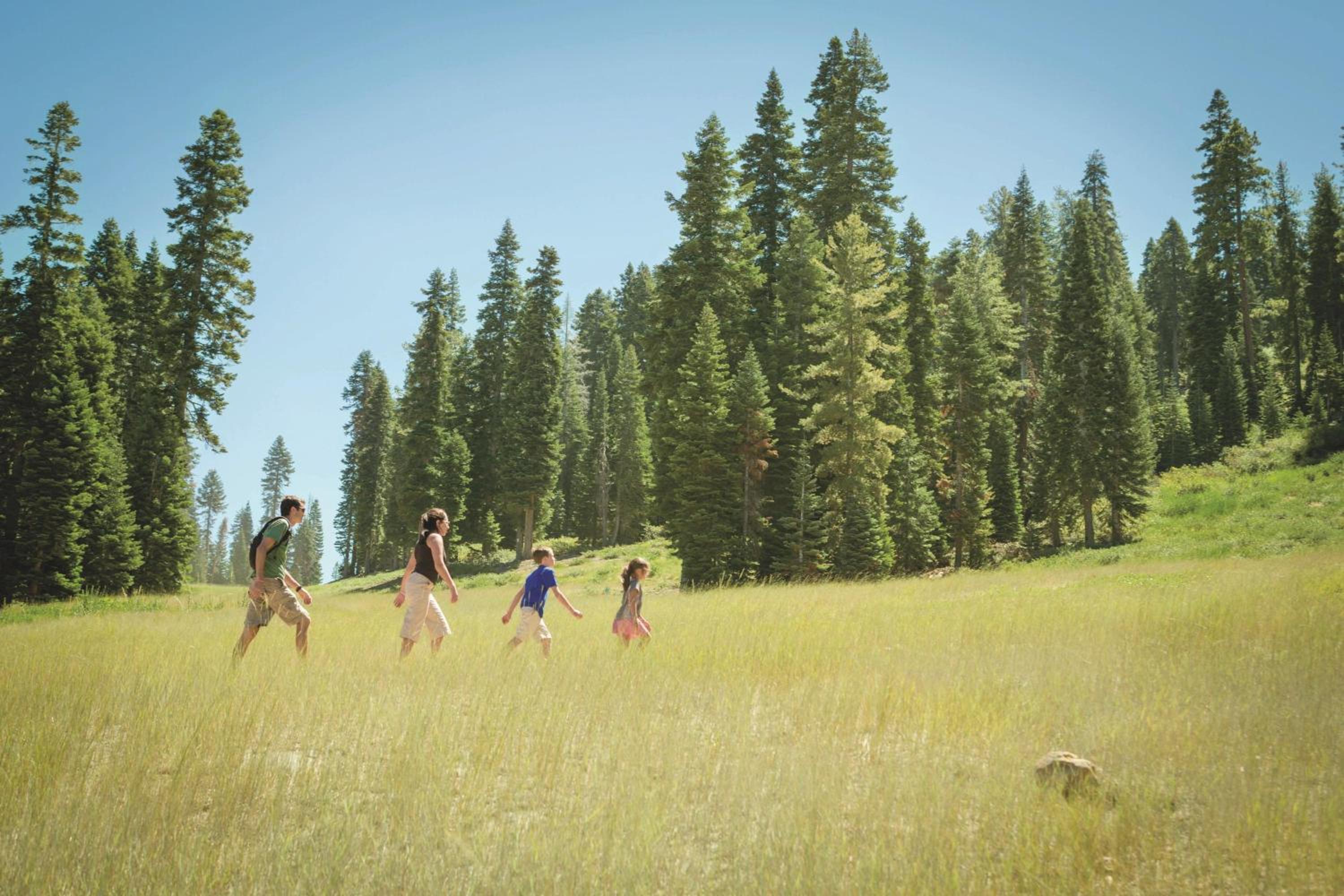 The Ritz-Carlton, Lake Tahoe 95