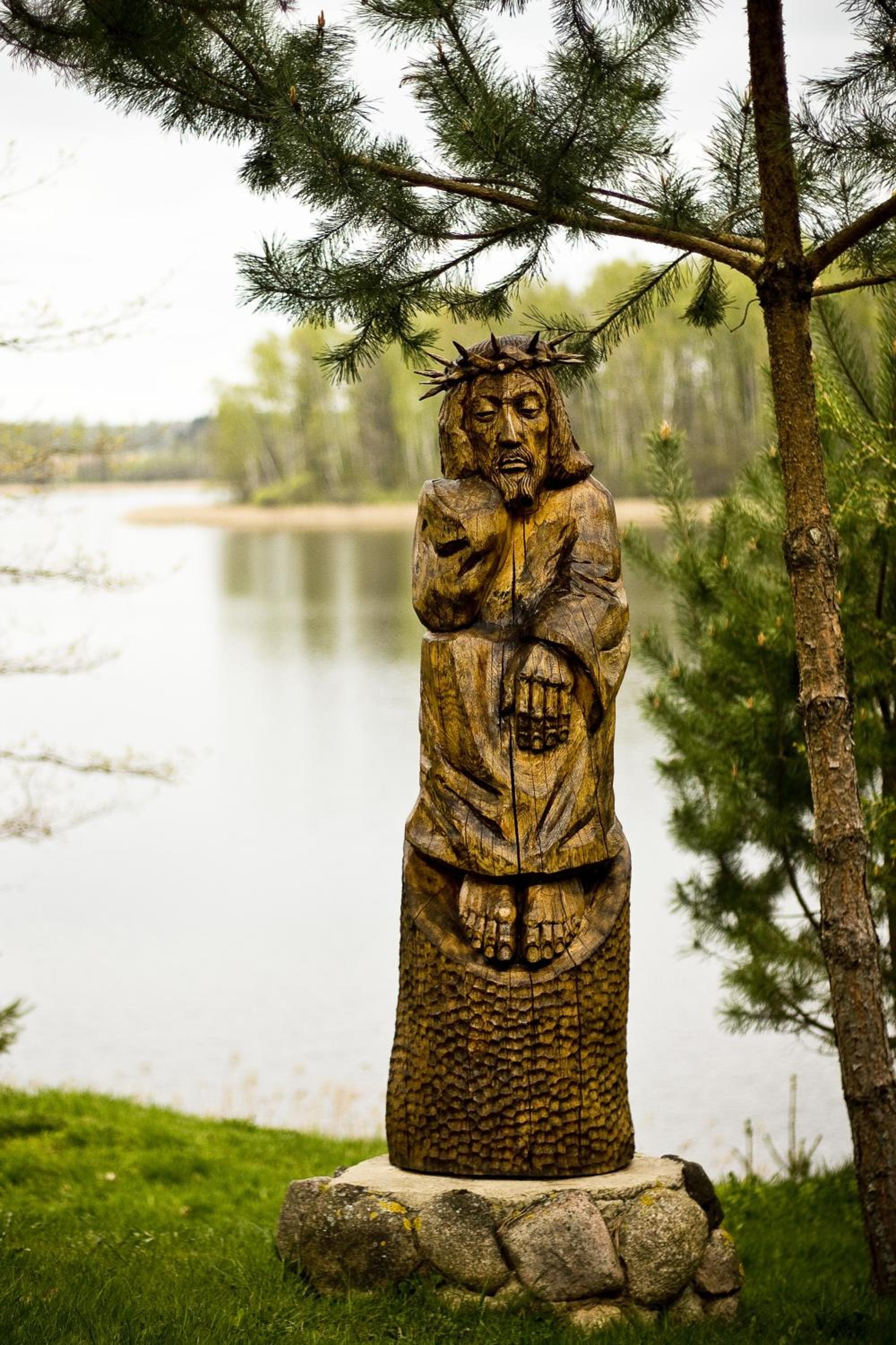 Photo 31