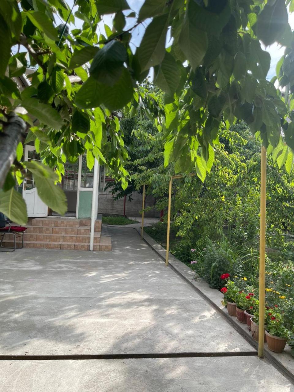 stay with a family view 4