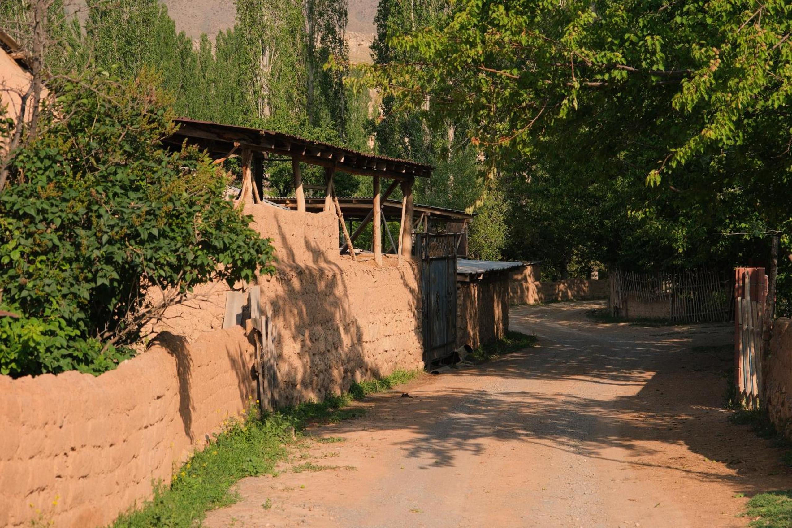 Photo 23
