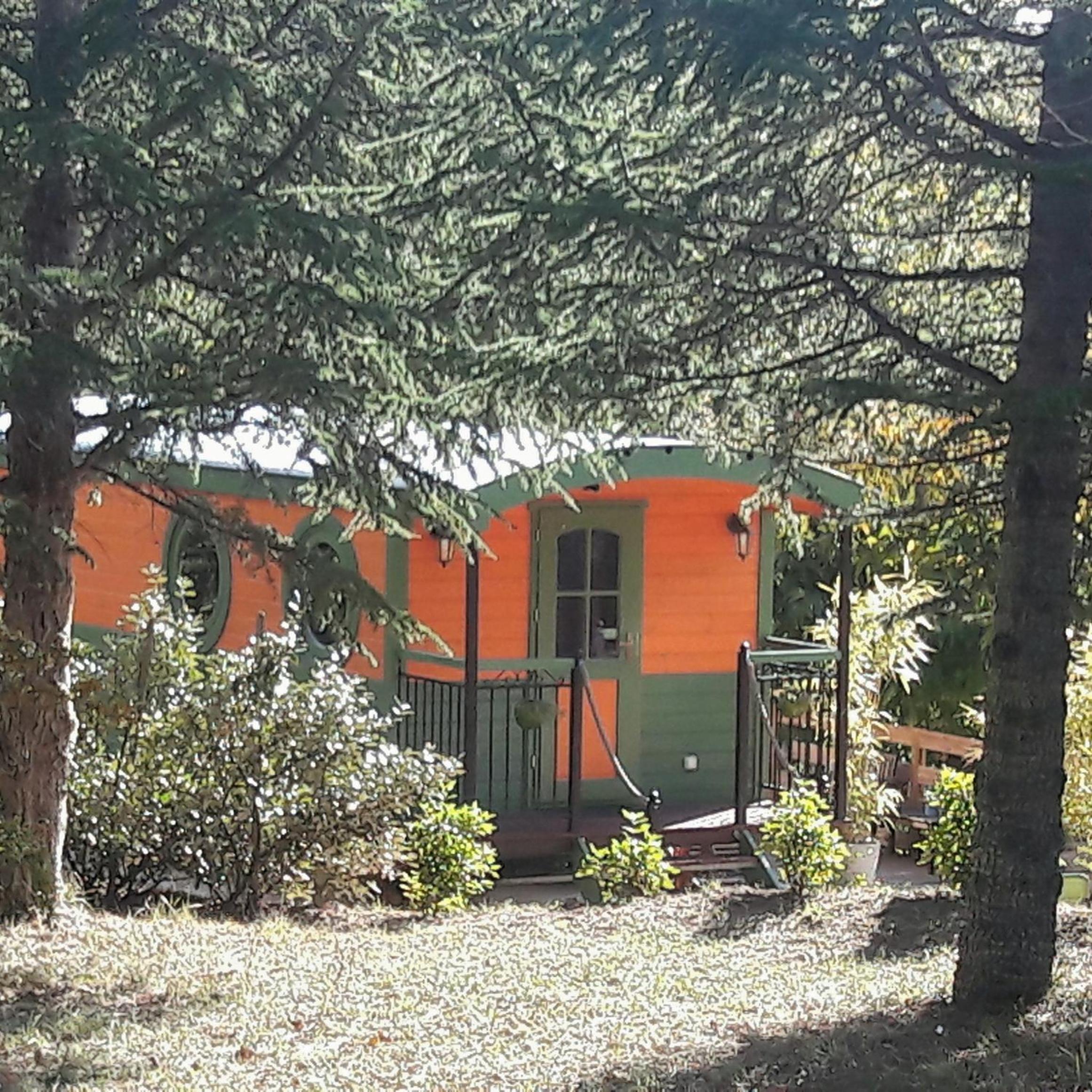 Photo 46