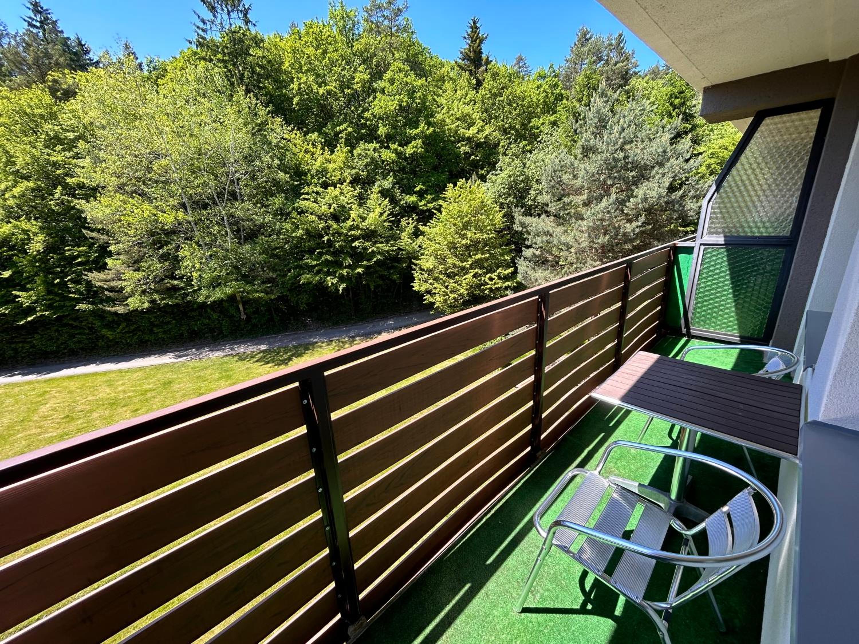 Apartmán na kraji lesa Všemina