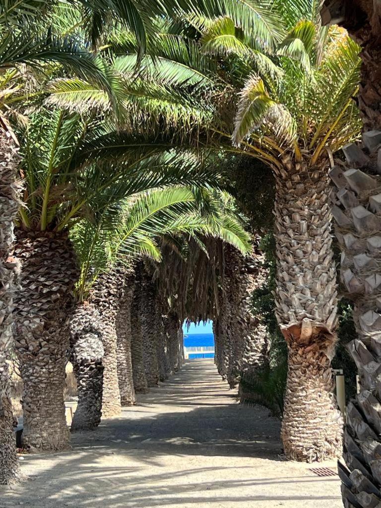Oceano Azul view 4