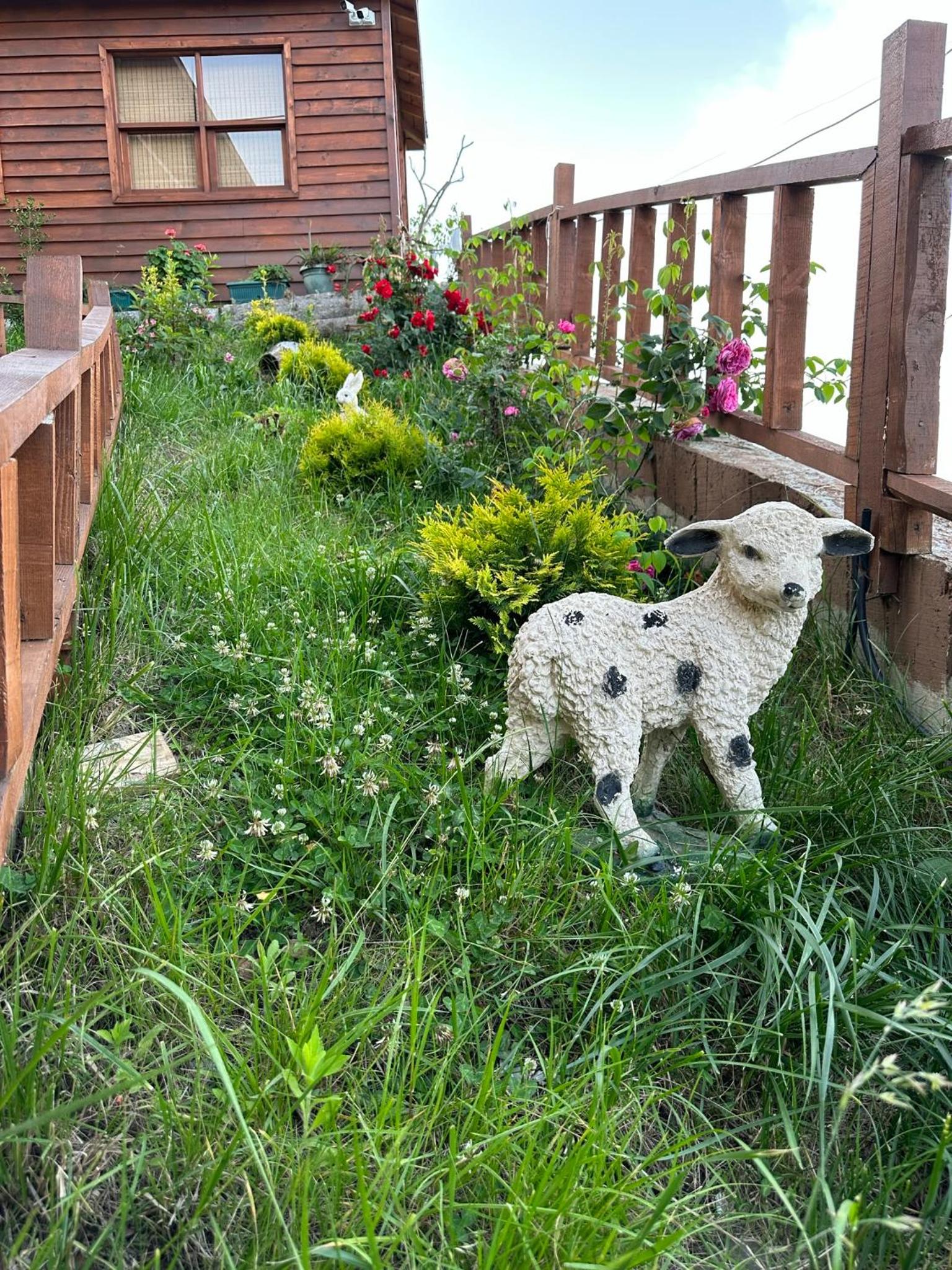Photo 26