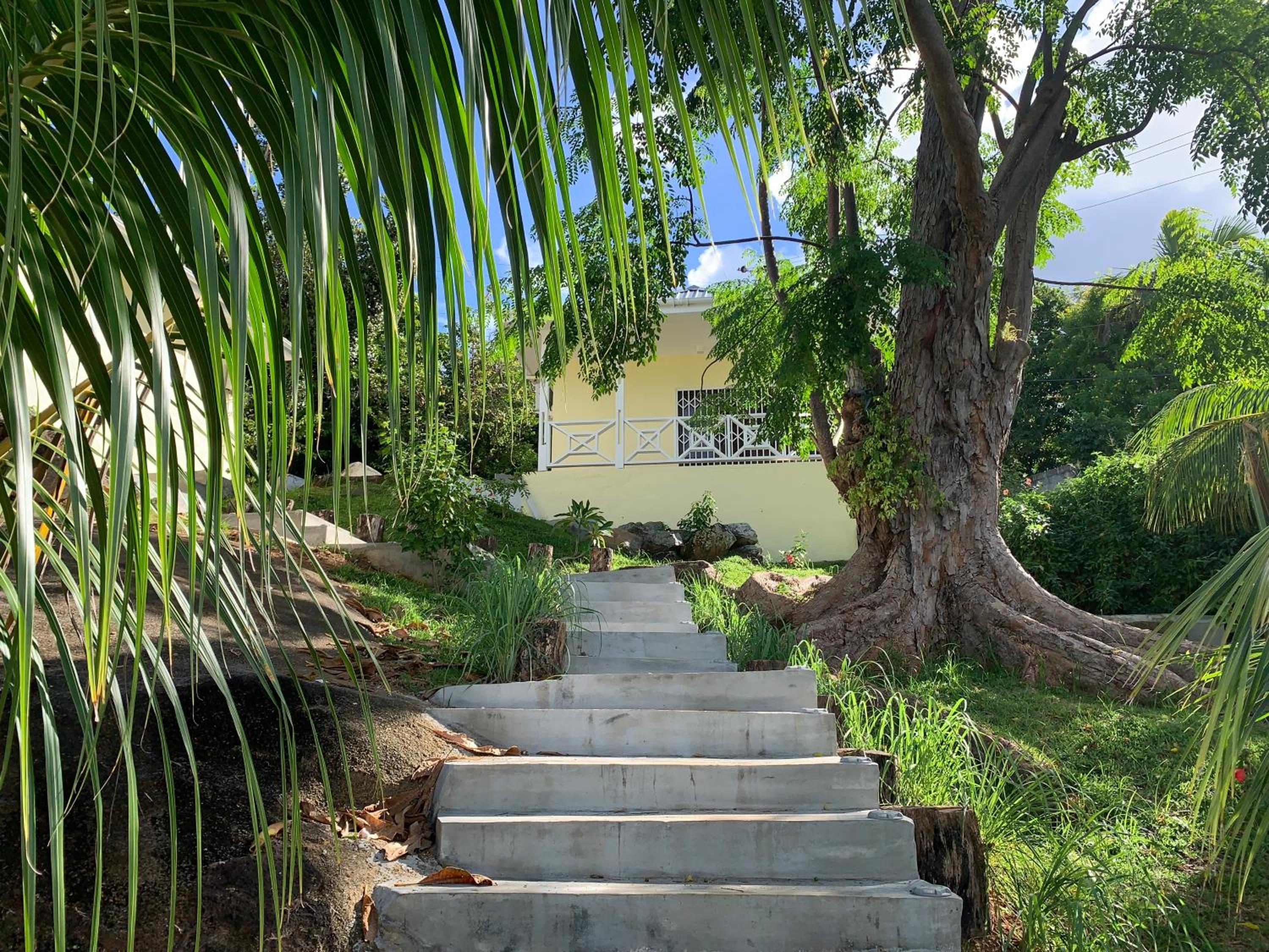 Photo 37