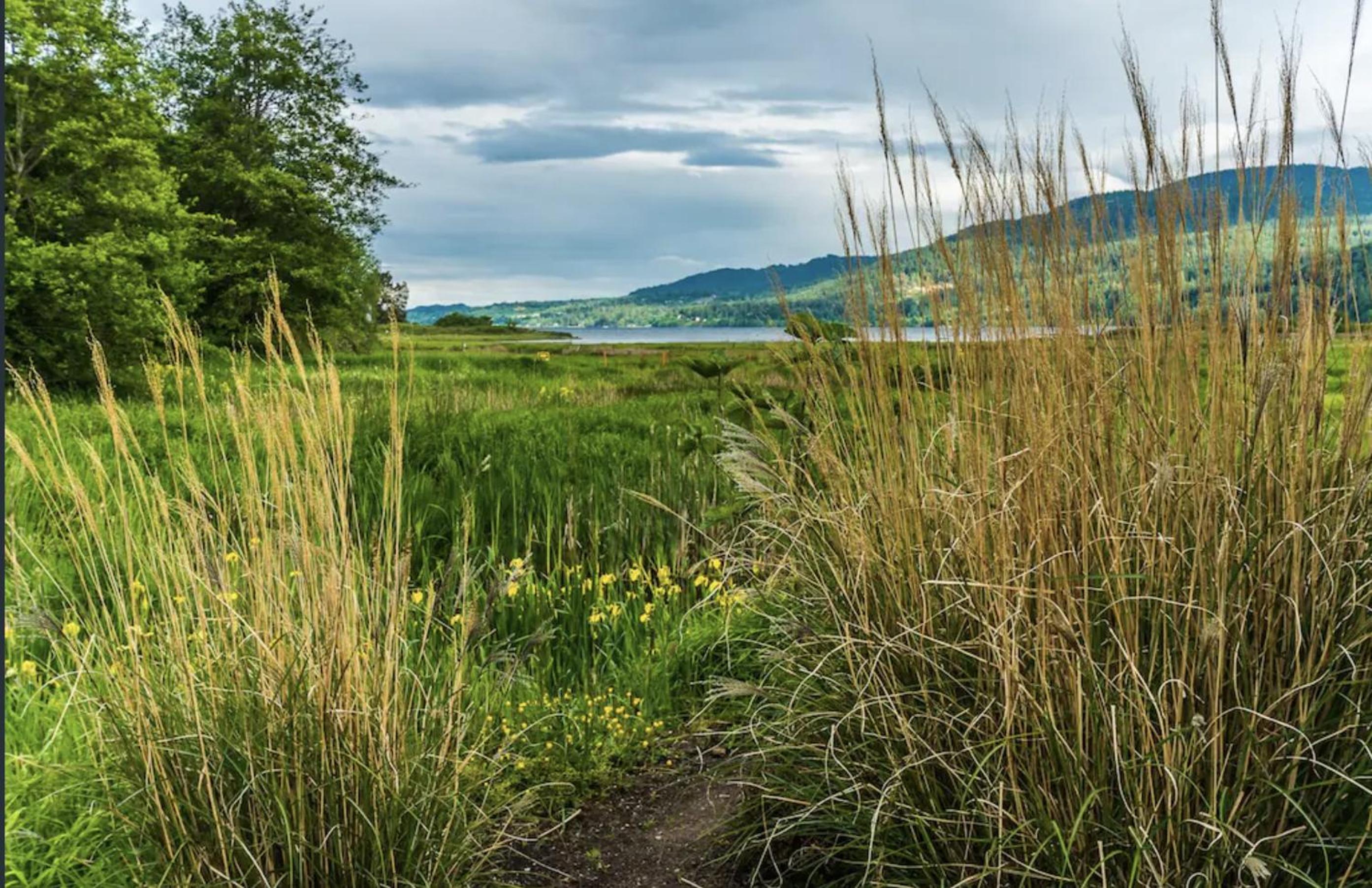 Inn the Estuary