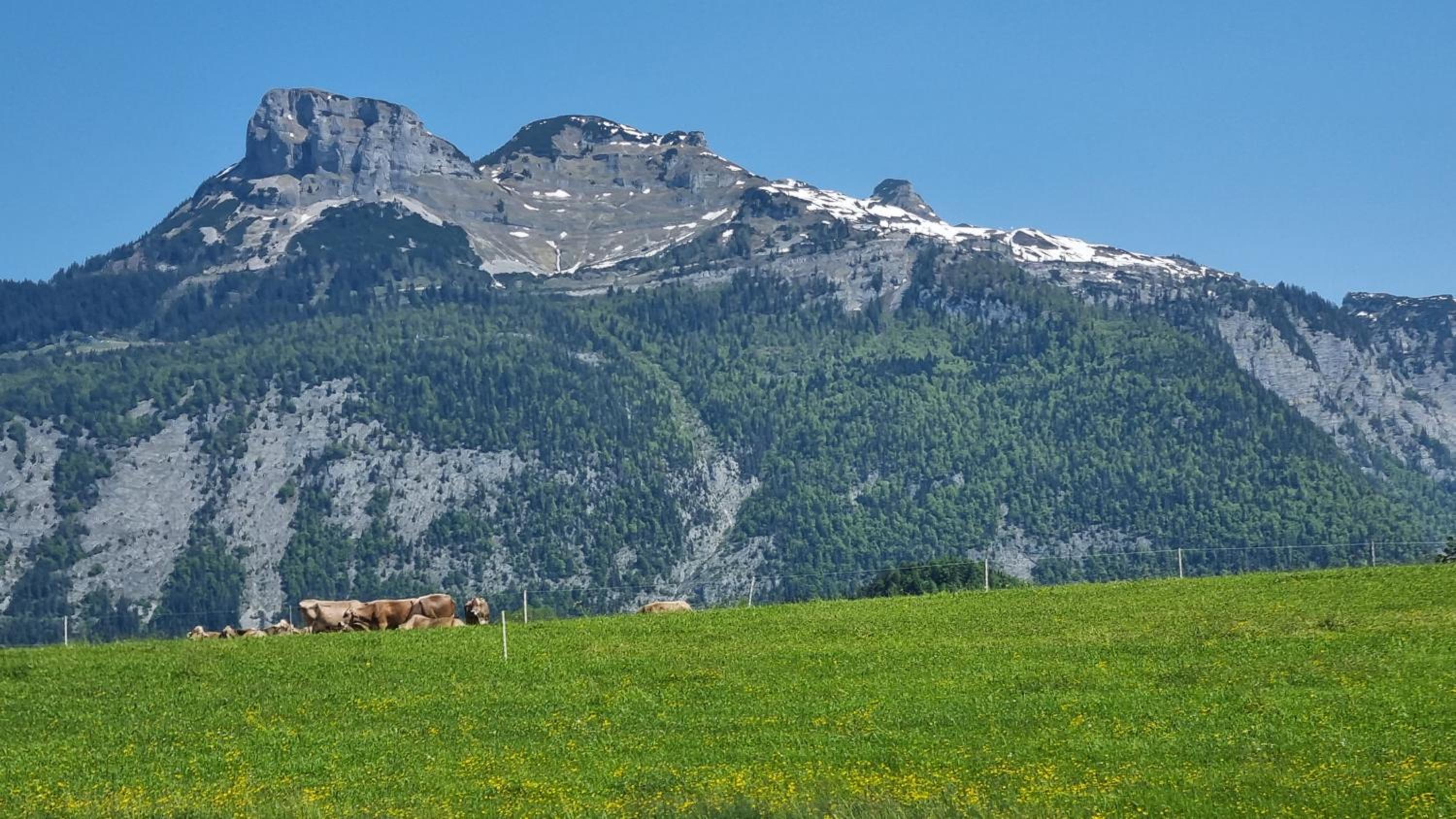 Ladner am See