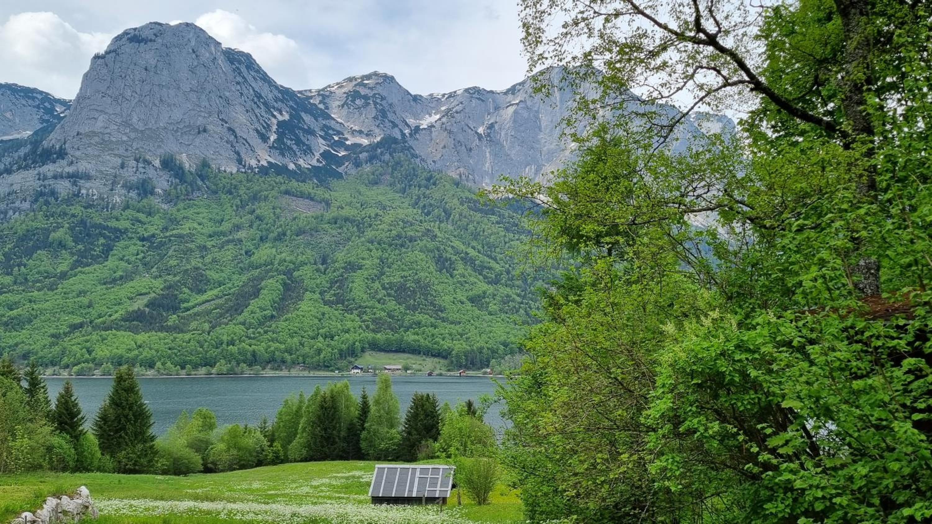 Ladner am See