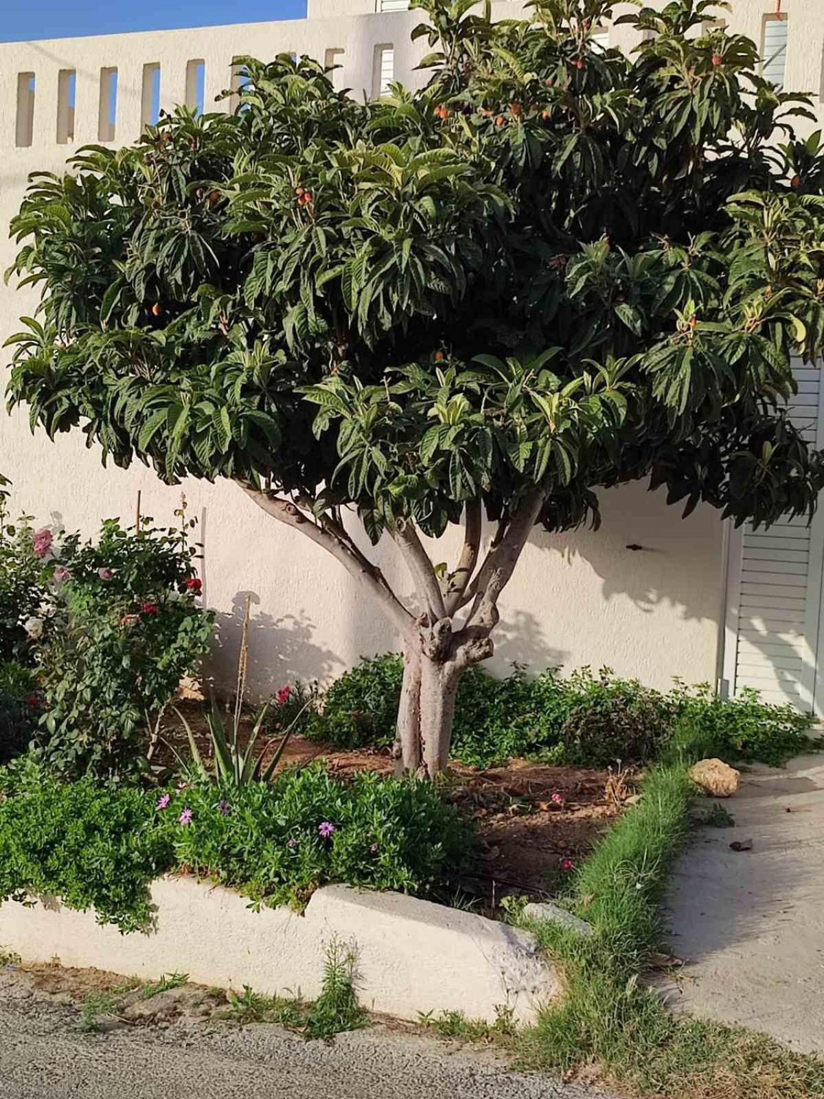Kassandra Garden Residence view 3