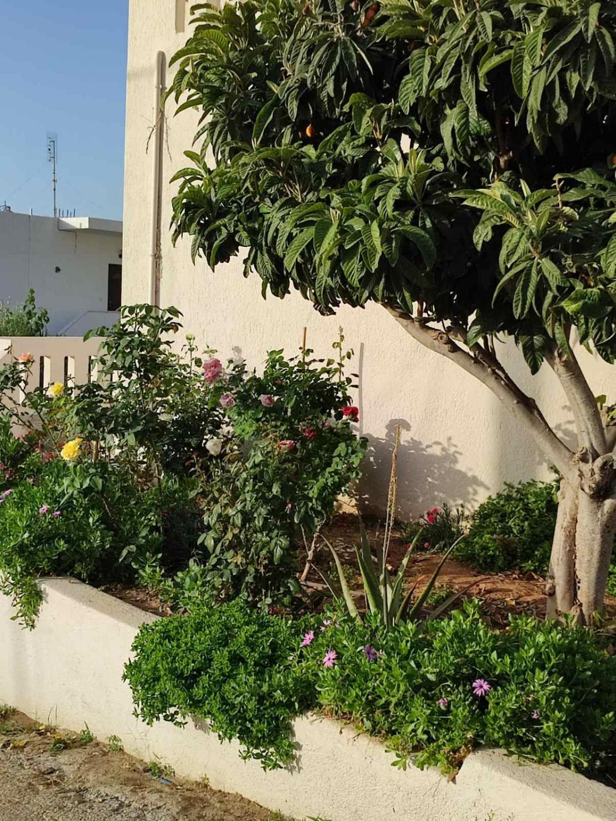 Kassandra Garden Residence view 4