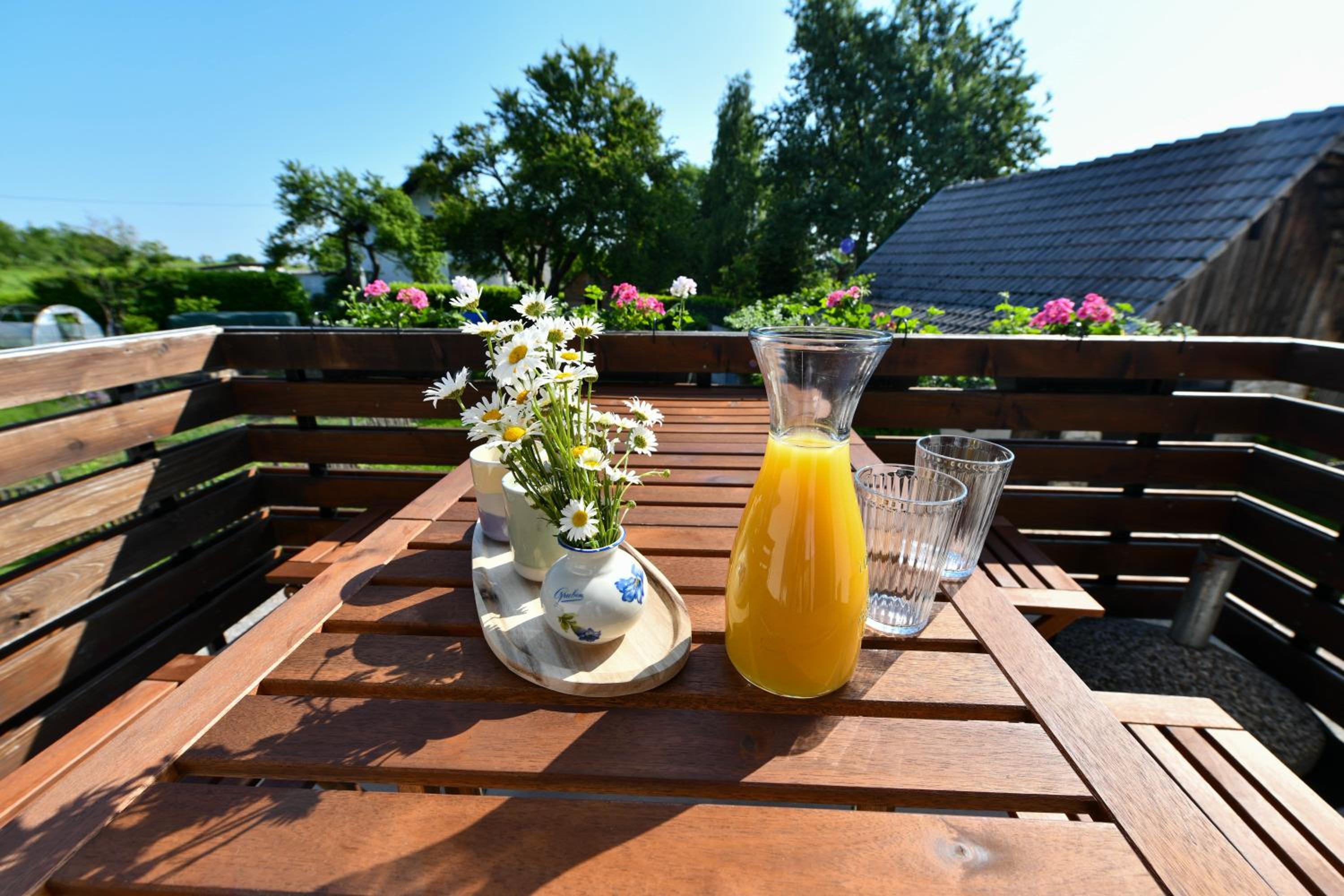 Apartment Murva -13 Min from Plitvice Lakes with parking and terrace view 5