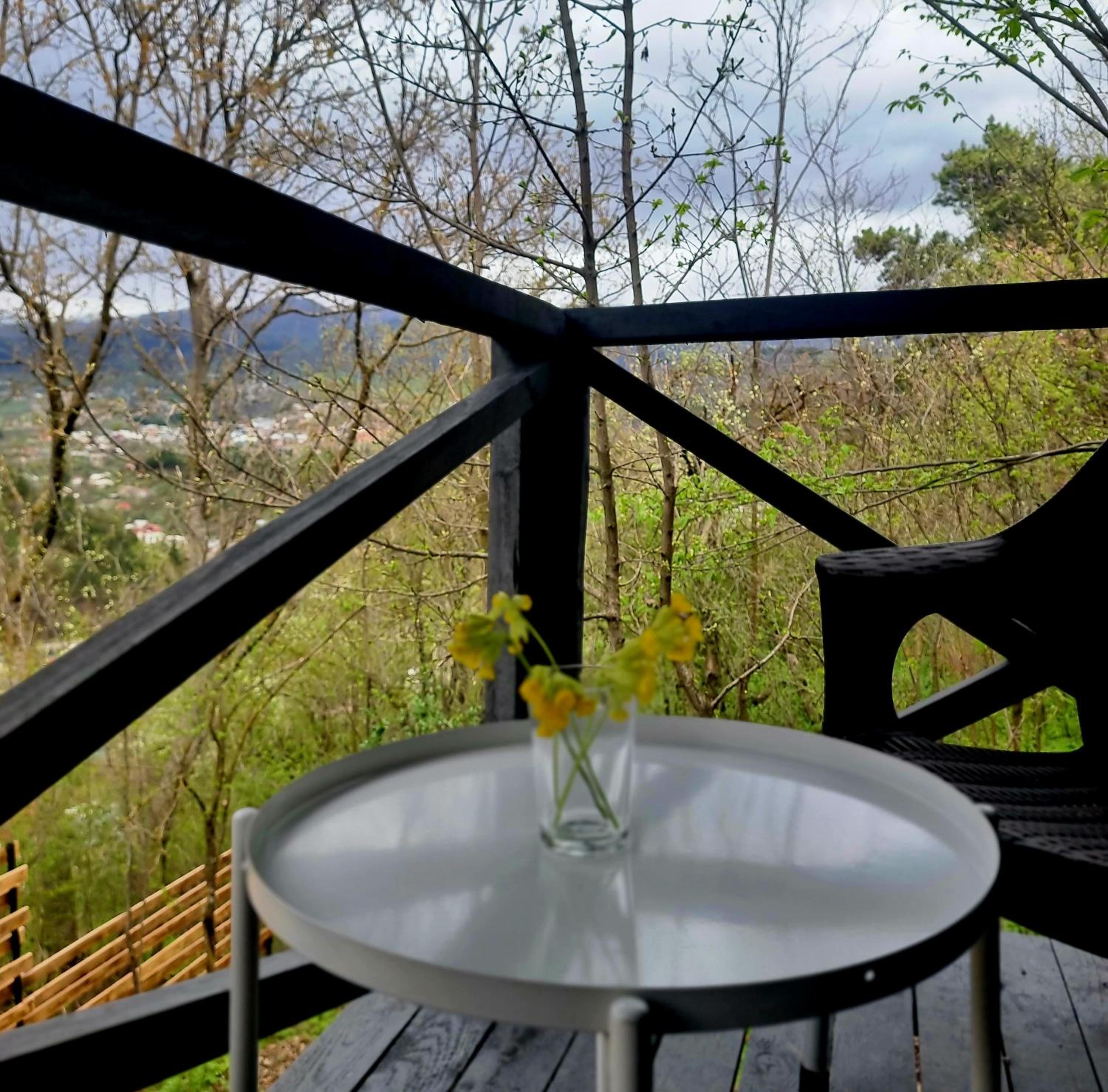 DilijAnYan-Guesthouse1