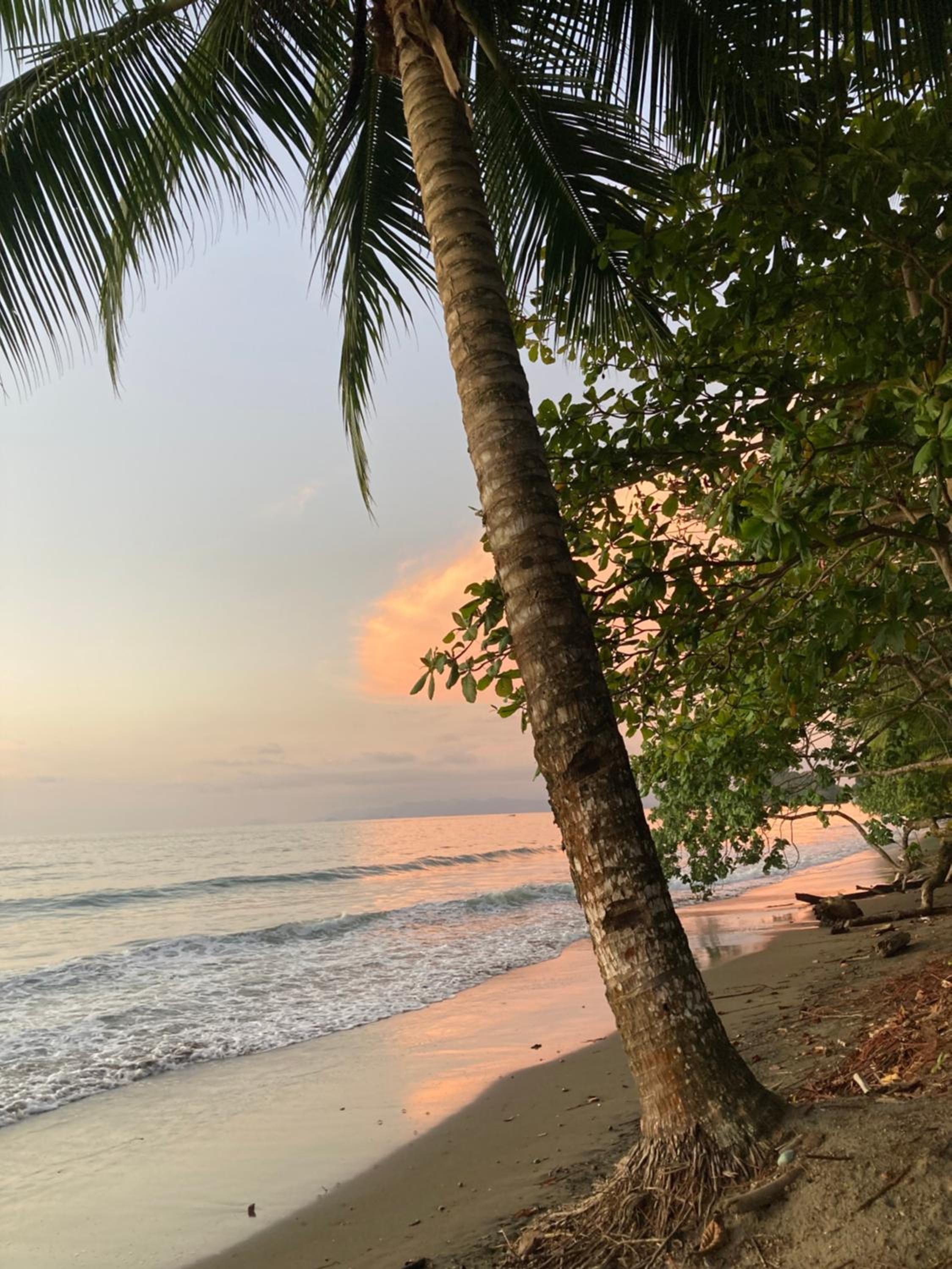Popochos Beach Eco Lodge