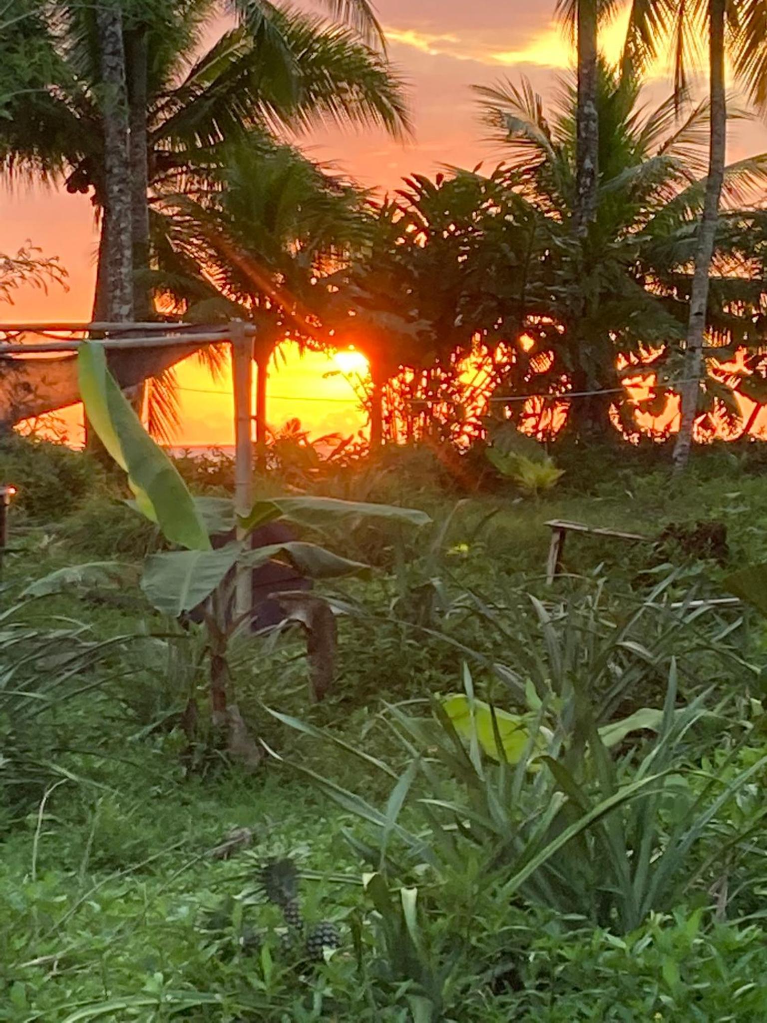 Popochos Beach Eco Lodge