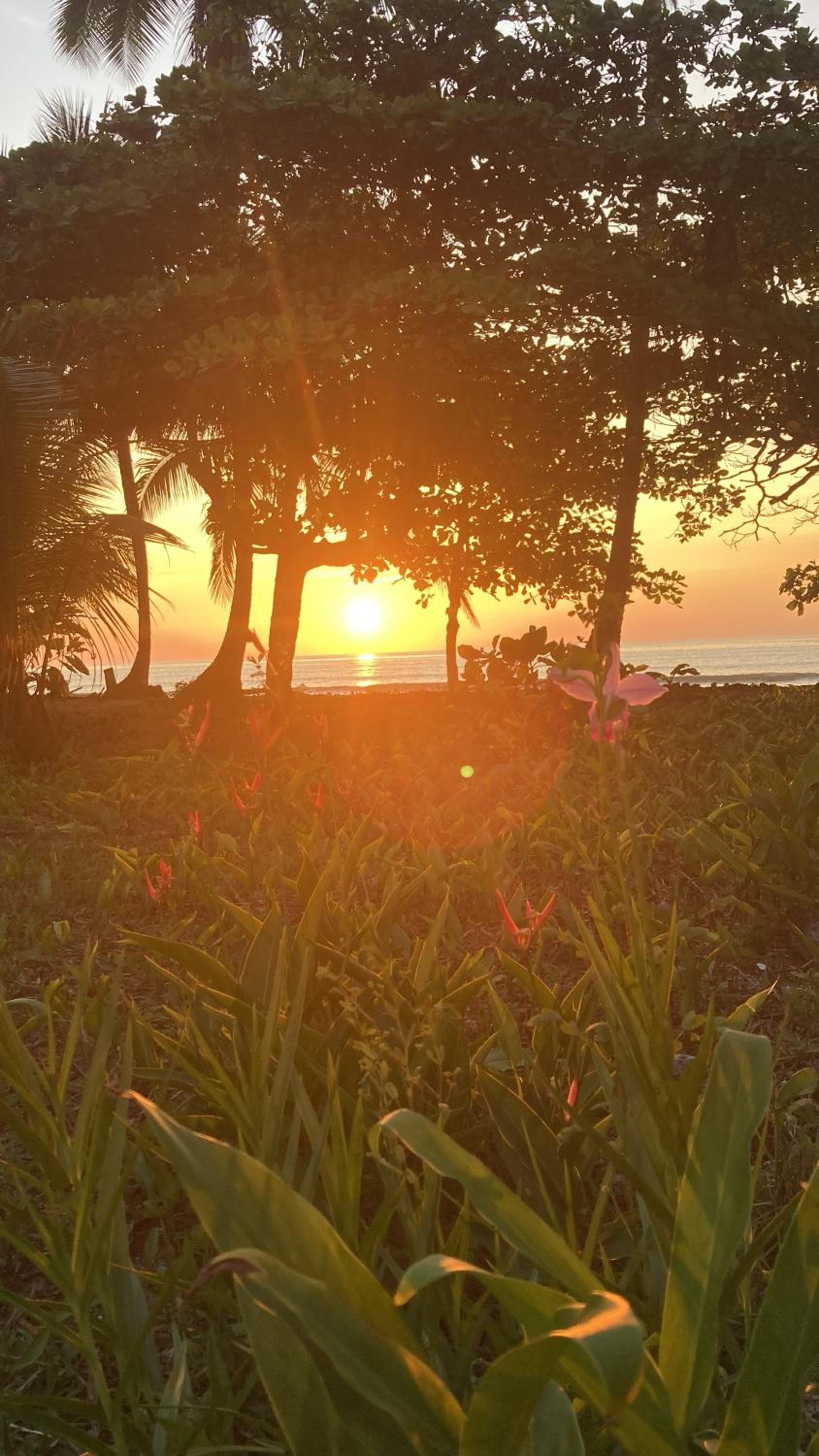 Popochos Beach Eco Lodge