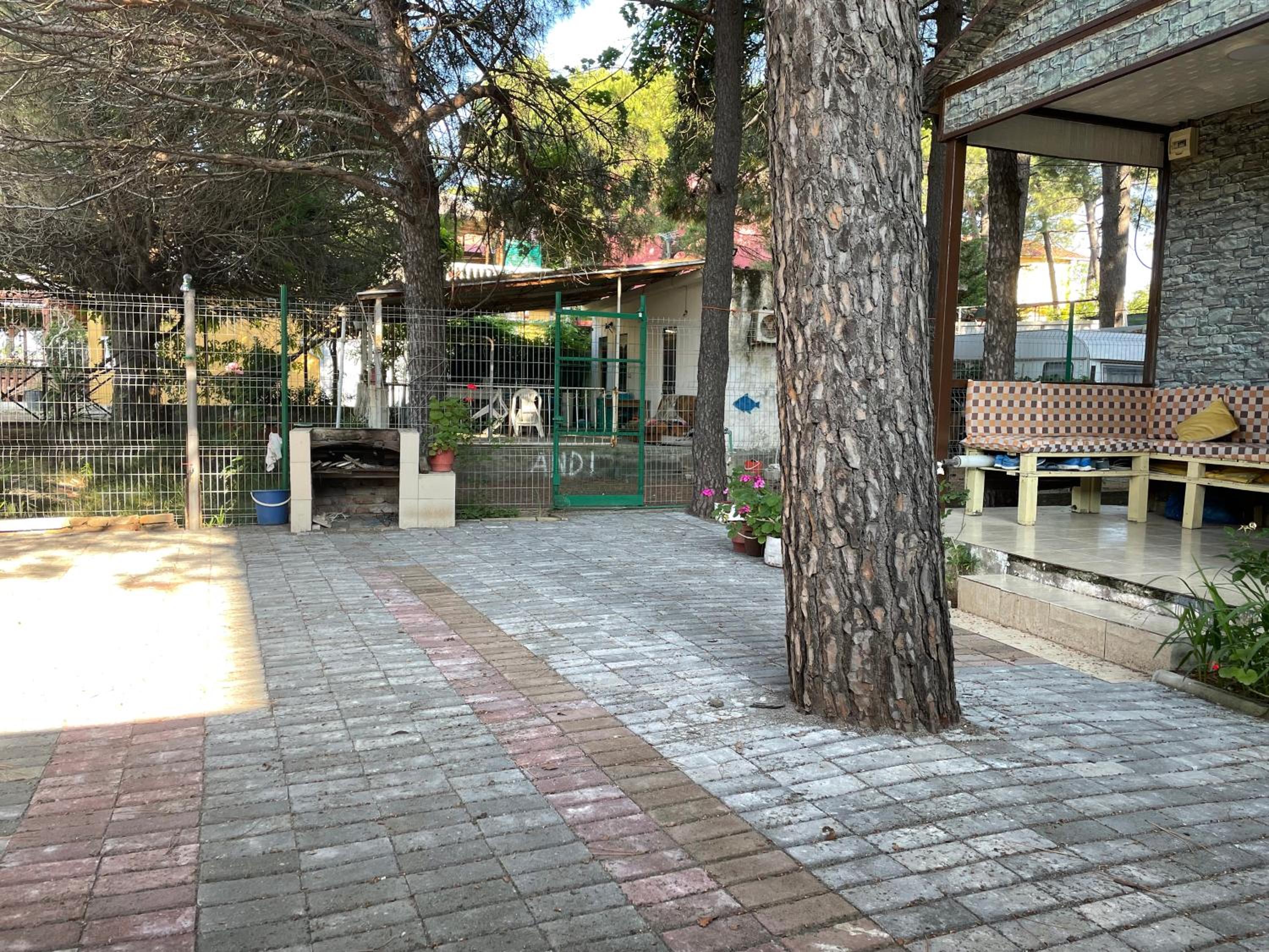 Pinehouse Velipoja