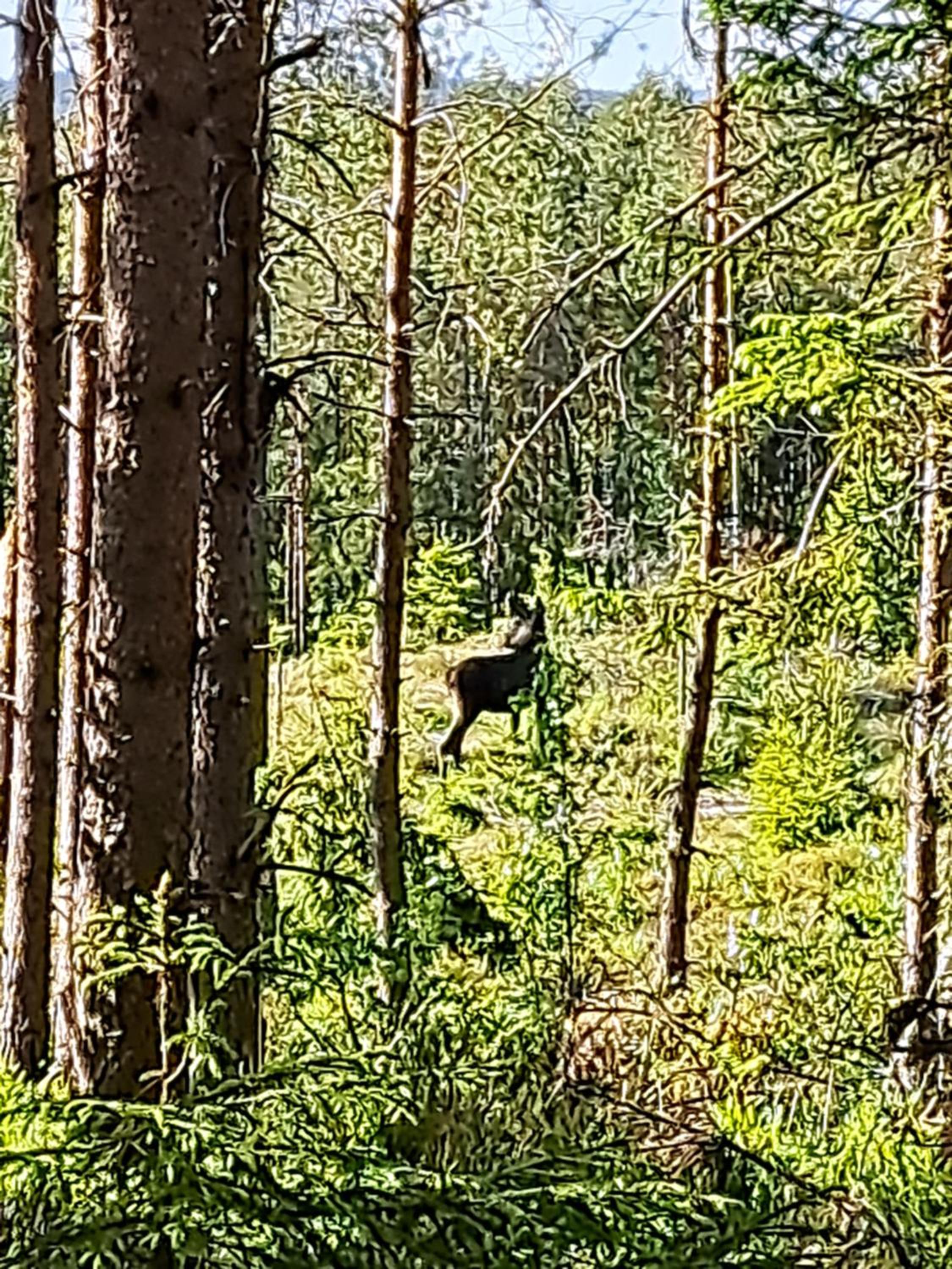 Guesthouse Nature Trails Sweden
