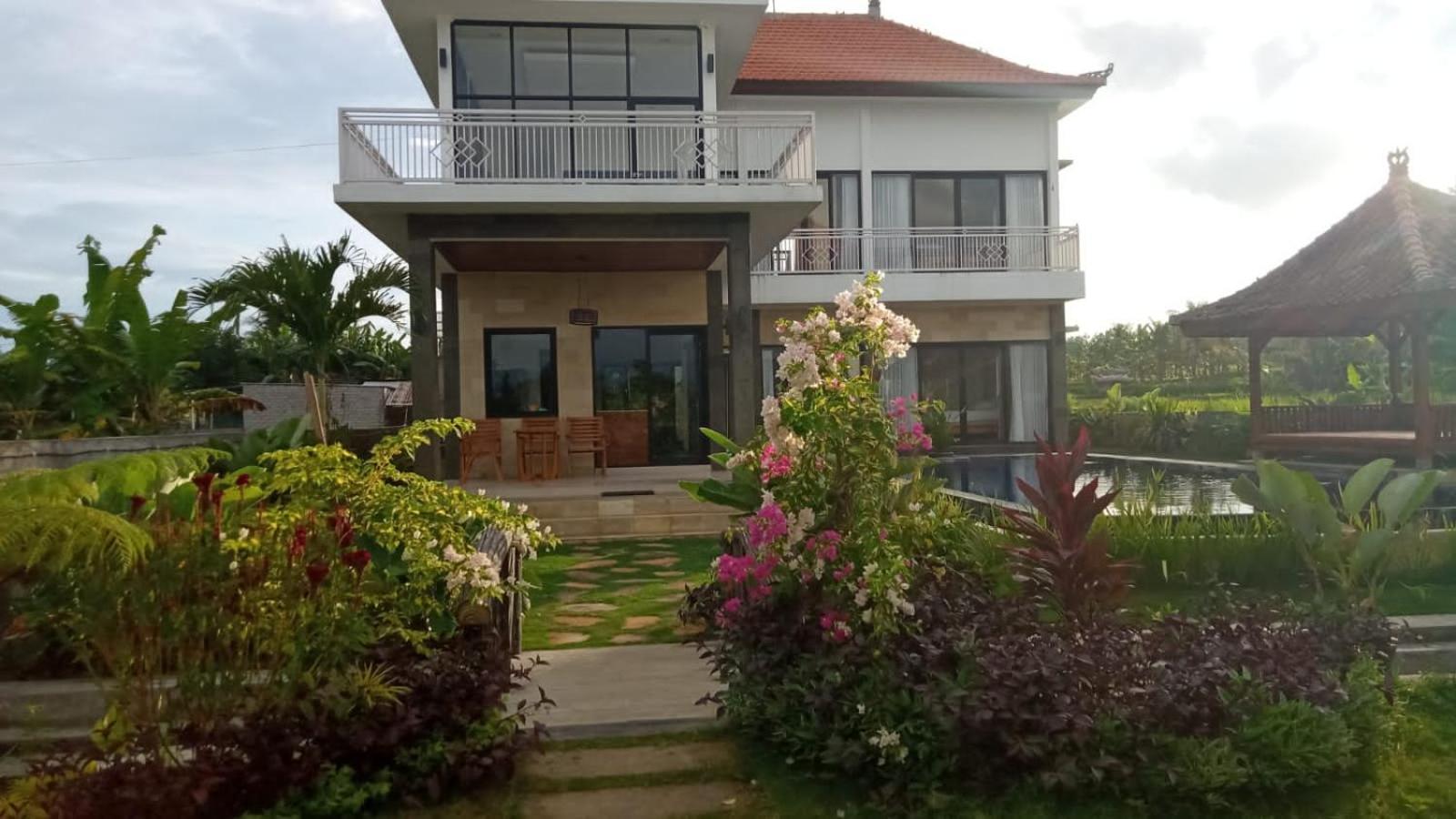 Villa Limun view 2