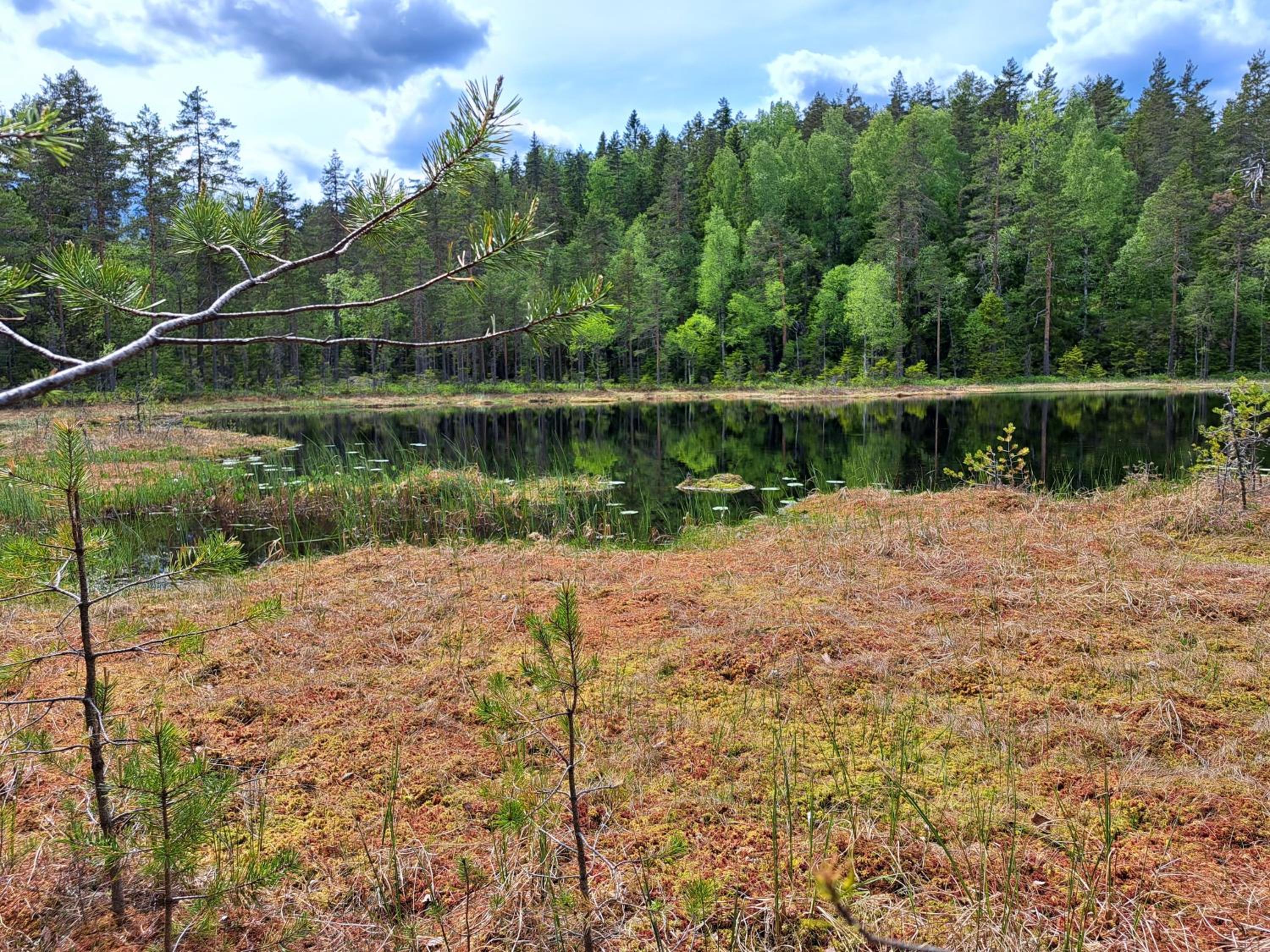Guesthouse Nature Trails Sweden