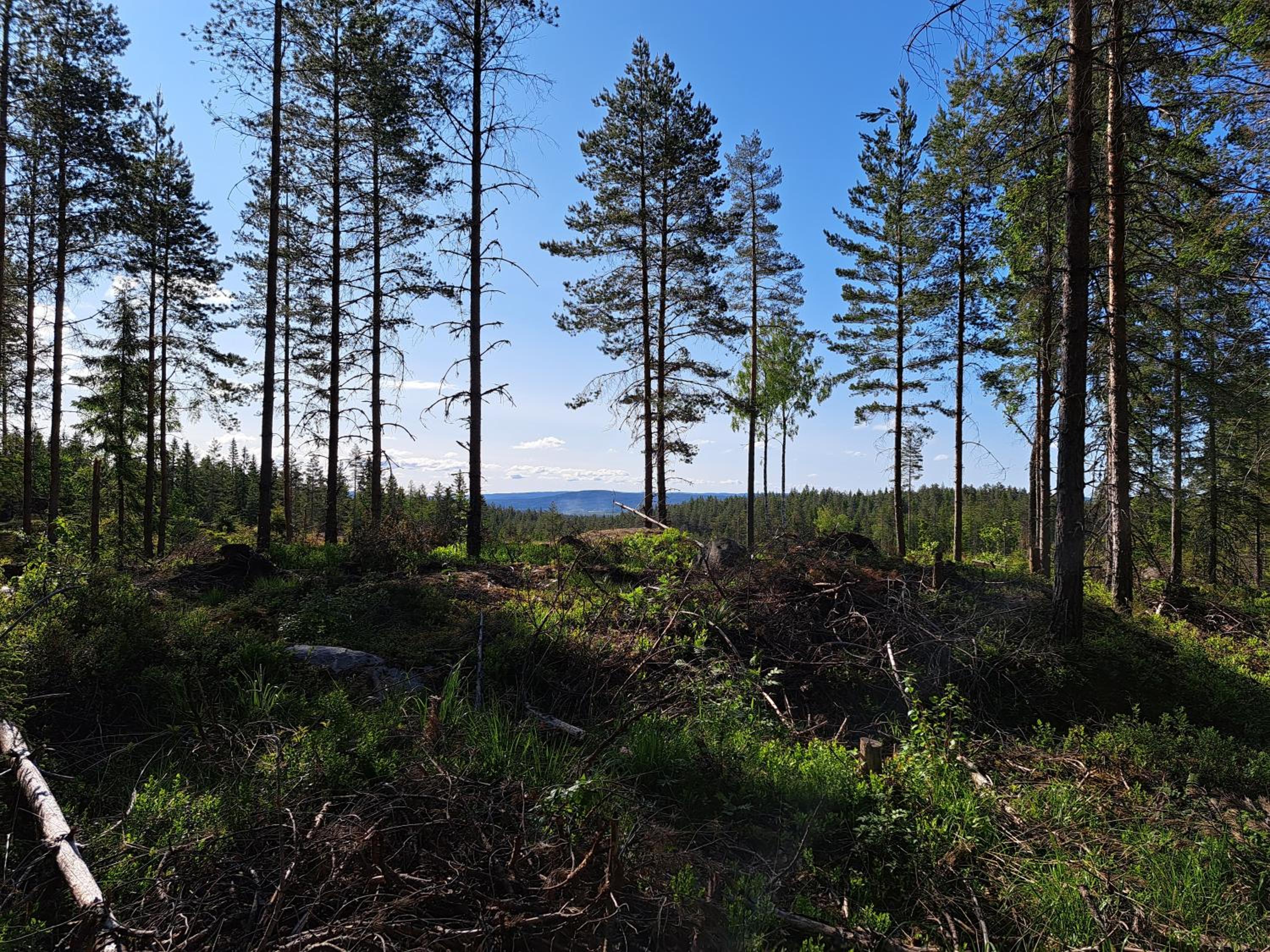 Guesthouse Nature Trails Sweden