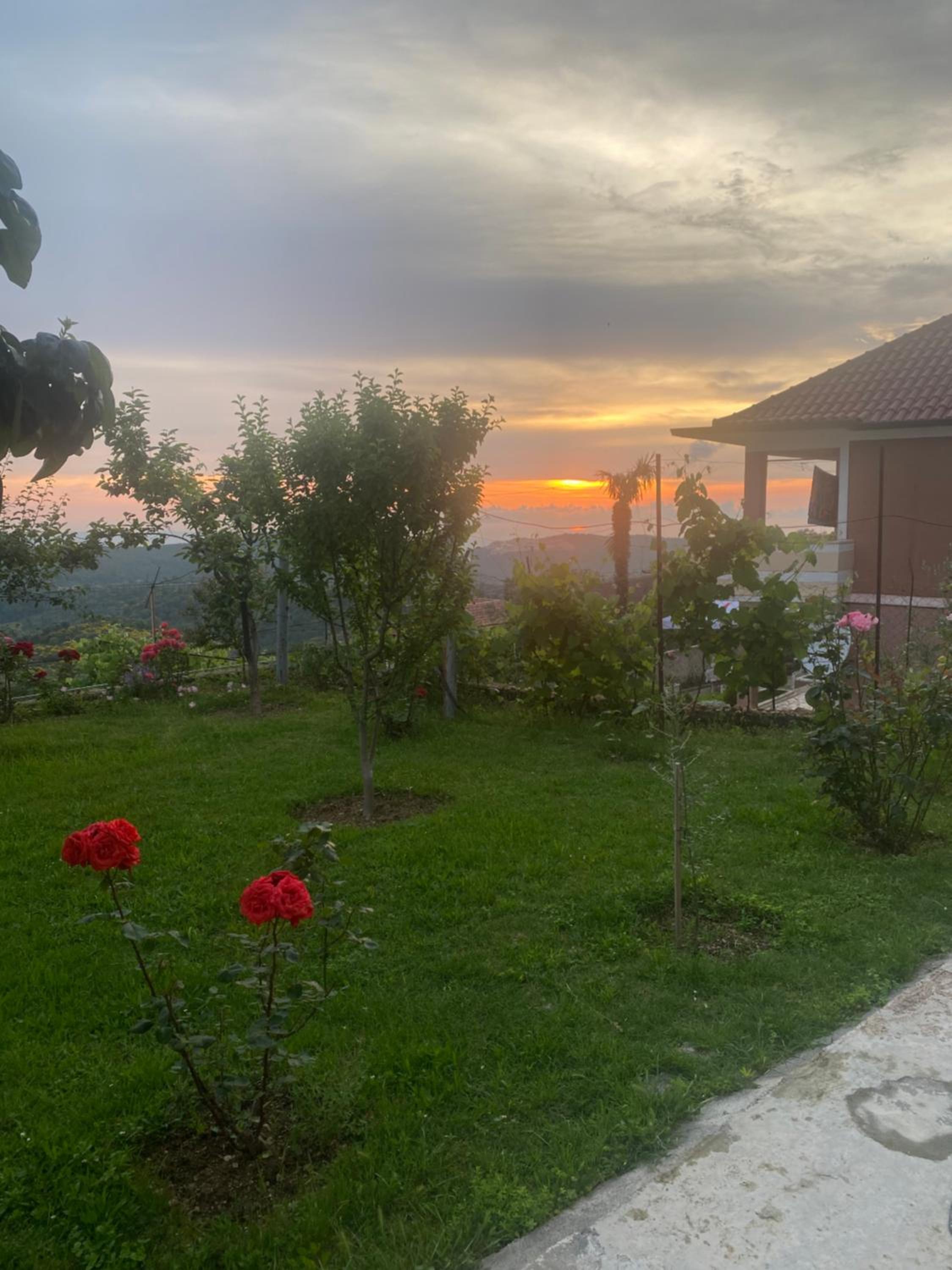 Meti Guest House