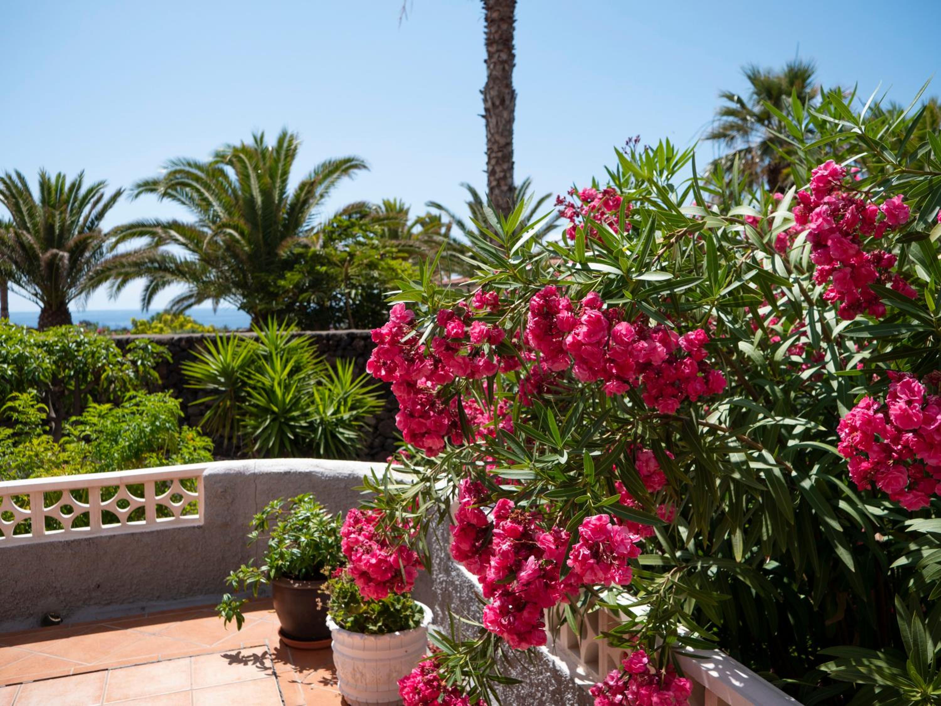 Finca Afortunada