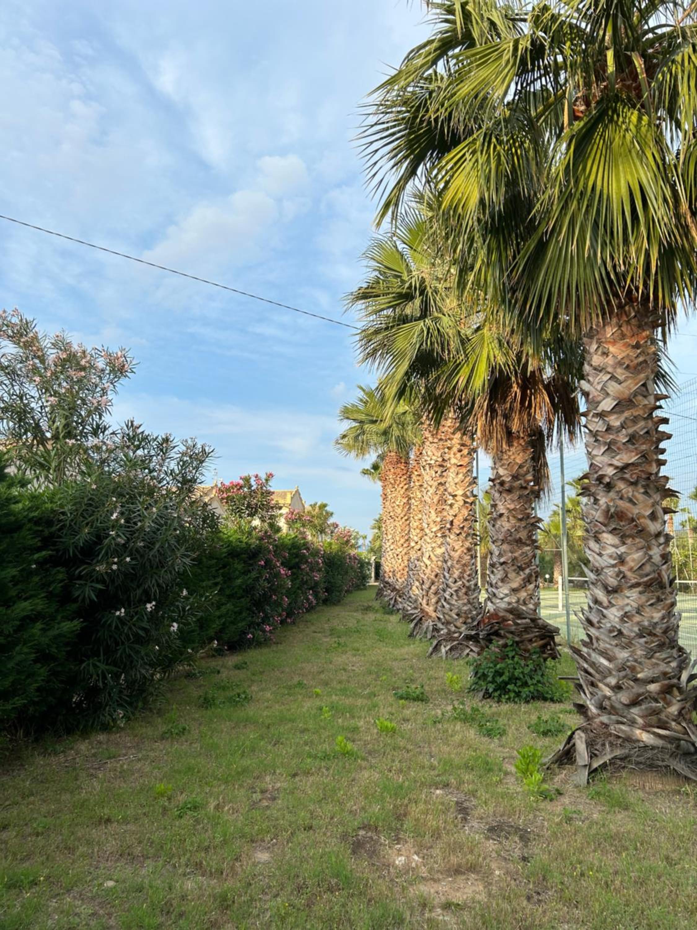 Villetta sul mare in Resort Village view 4