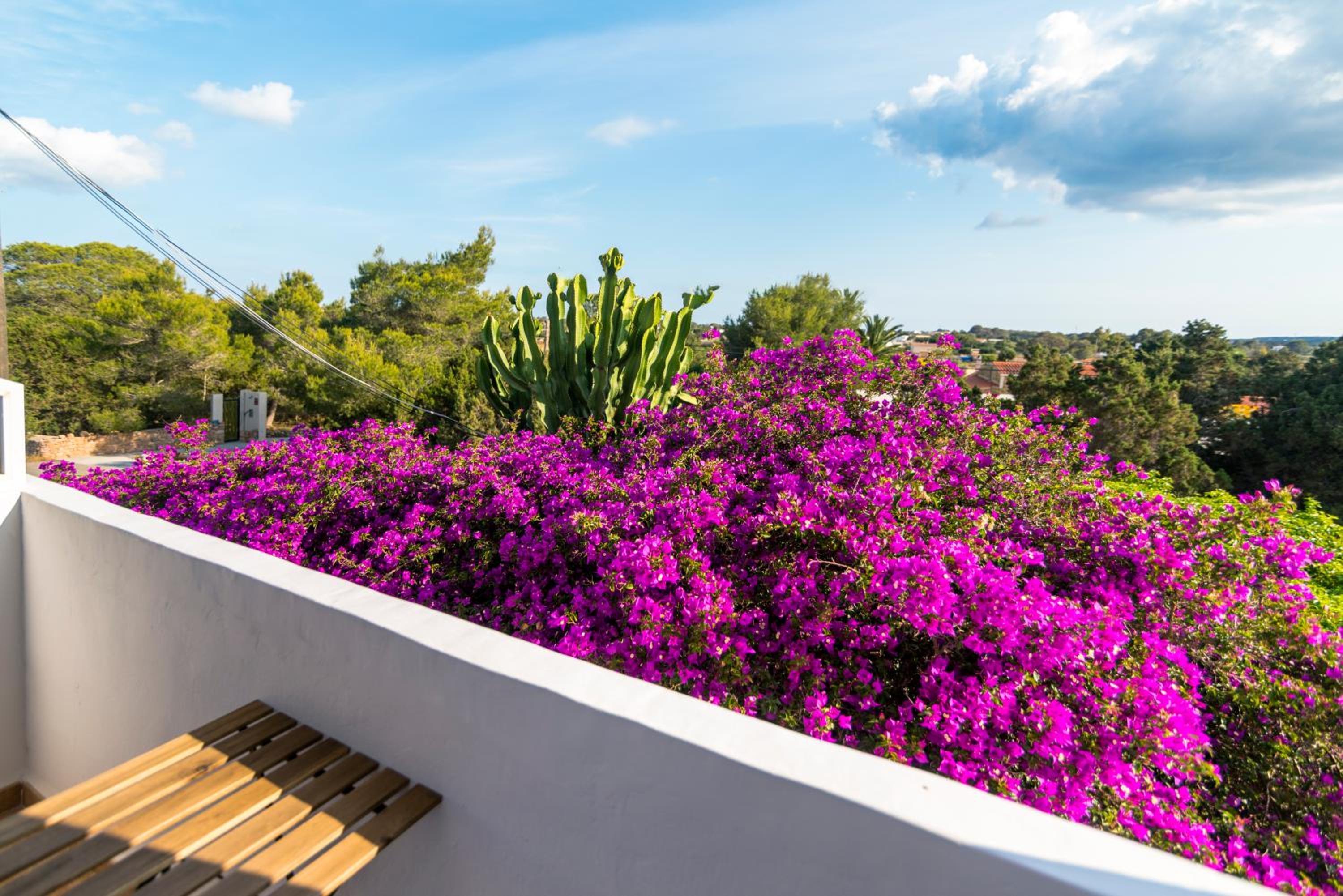 Apartamentos Mayans