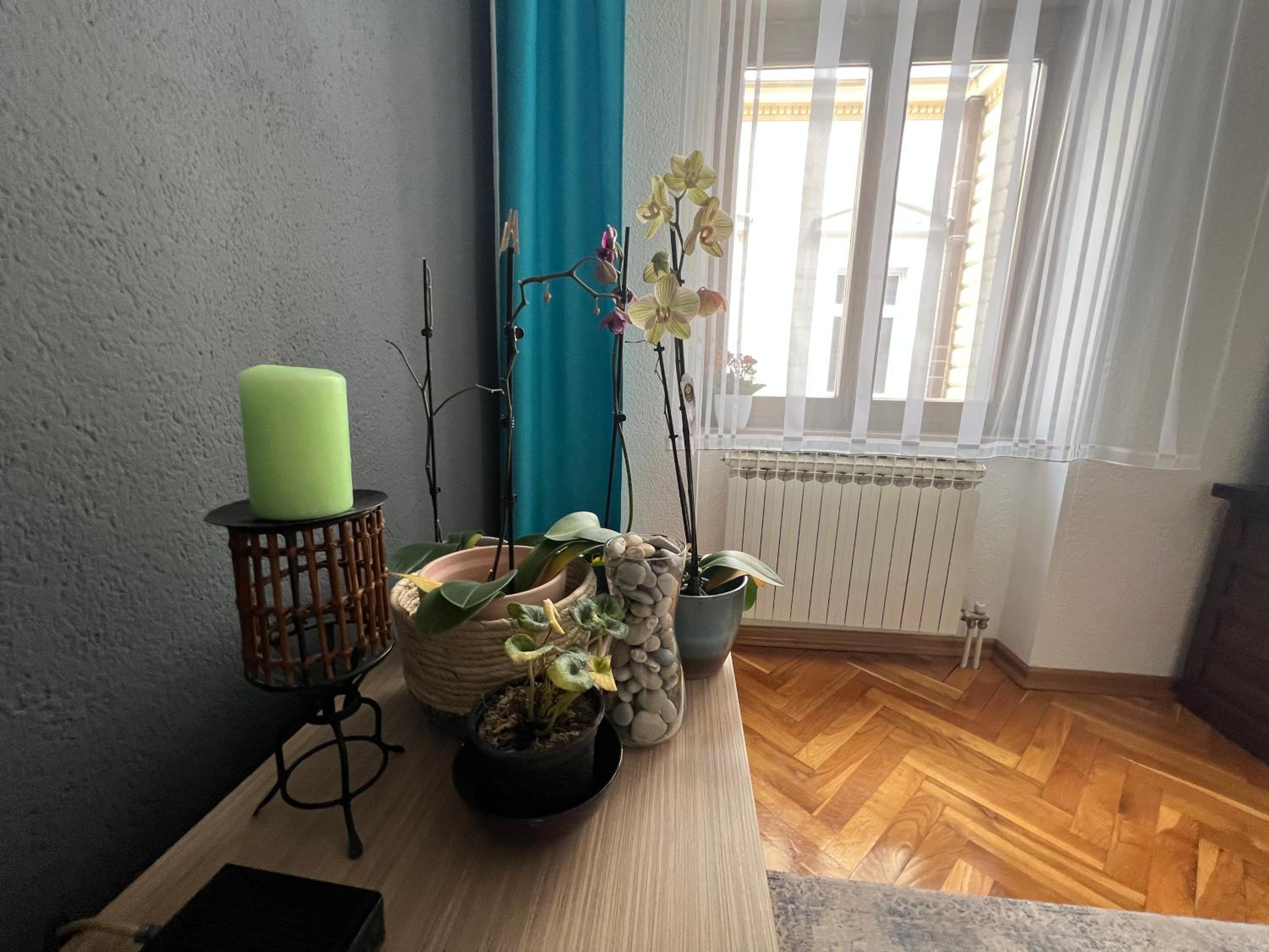 Djana Apartment