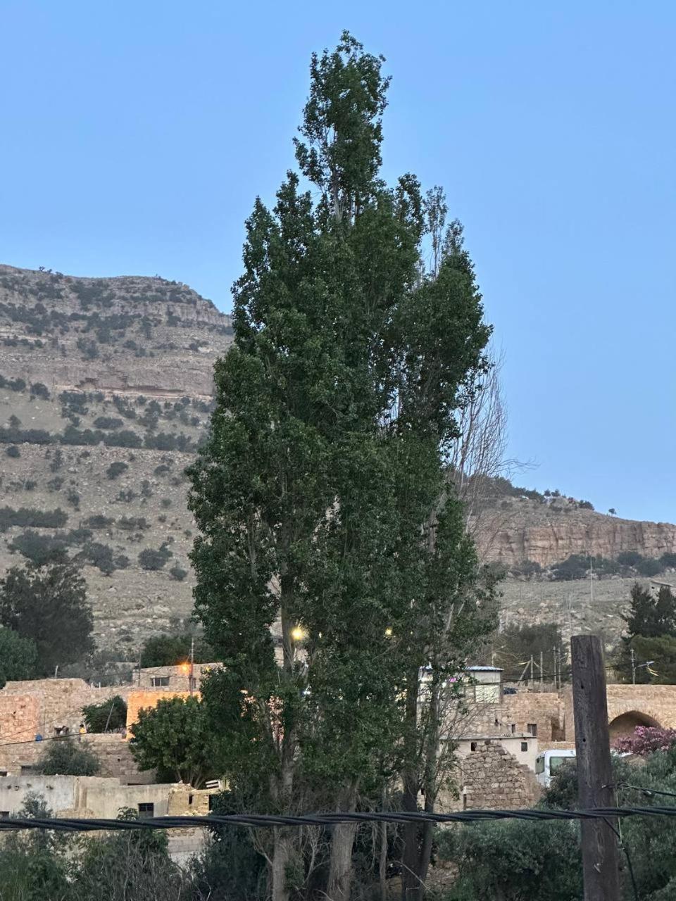Dana historic village