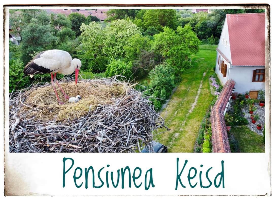 Pensiunea Keisd