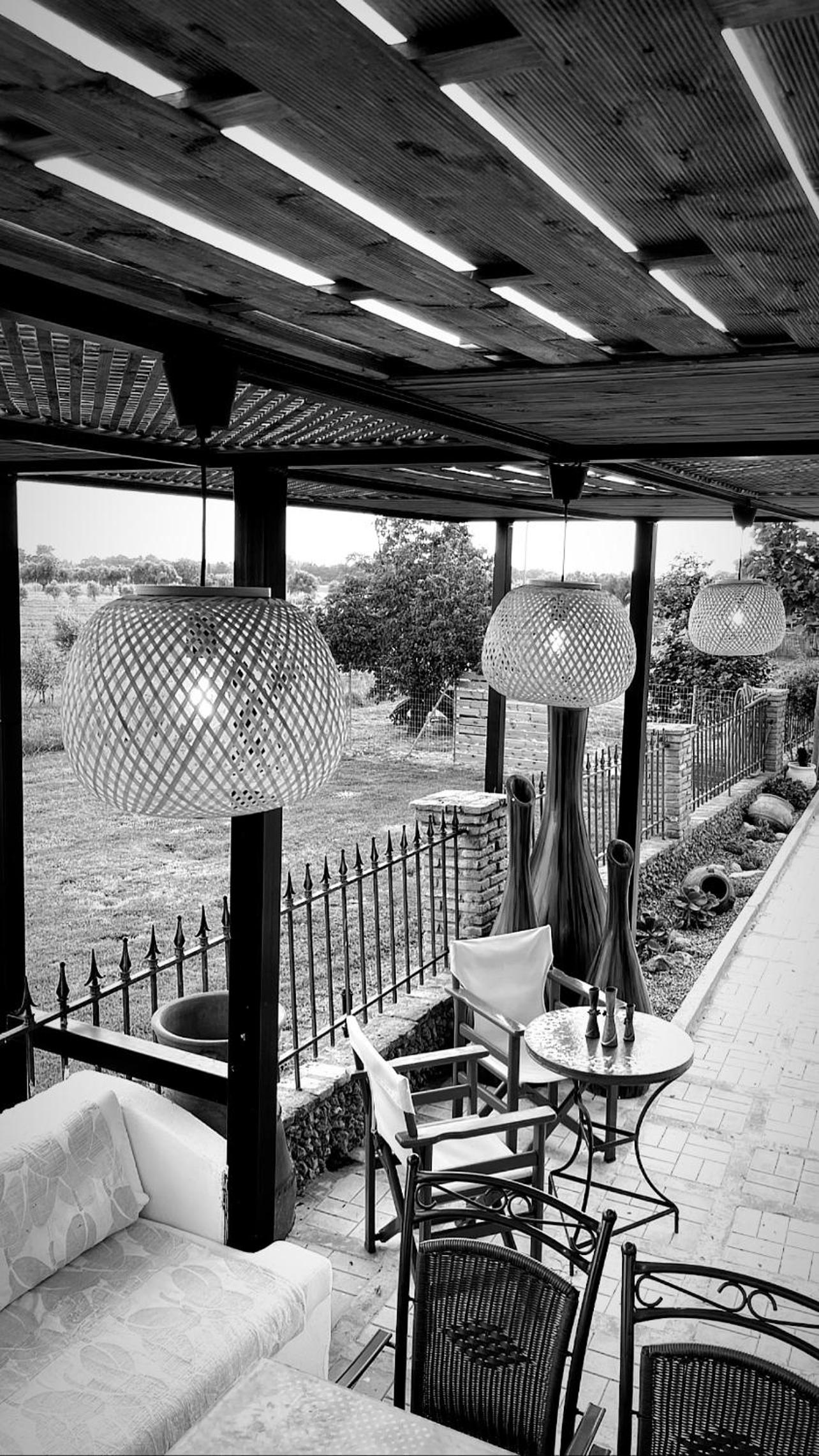Photo 44
