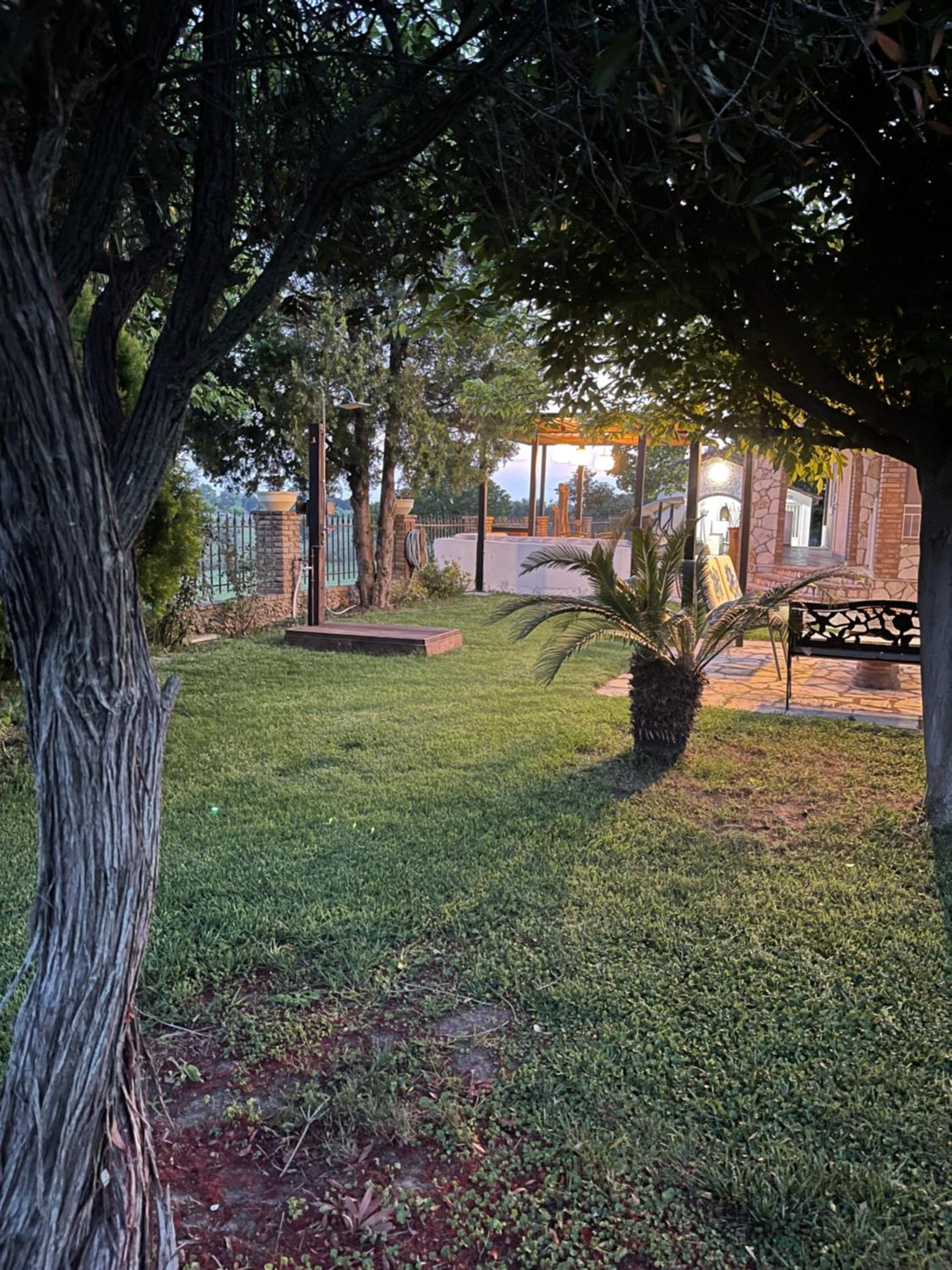 Photo 35
