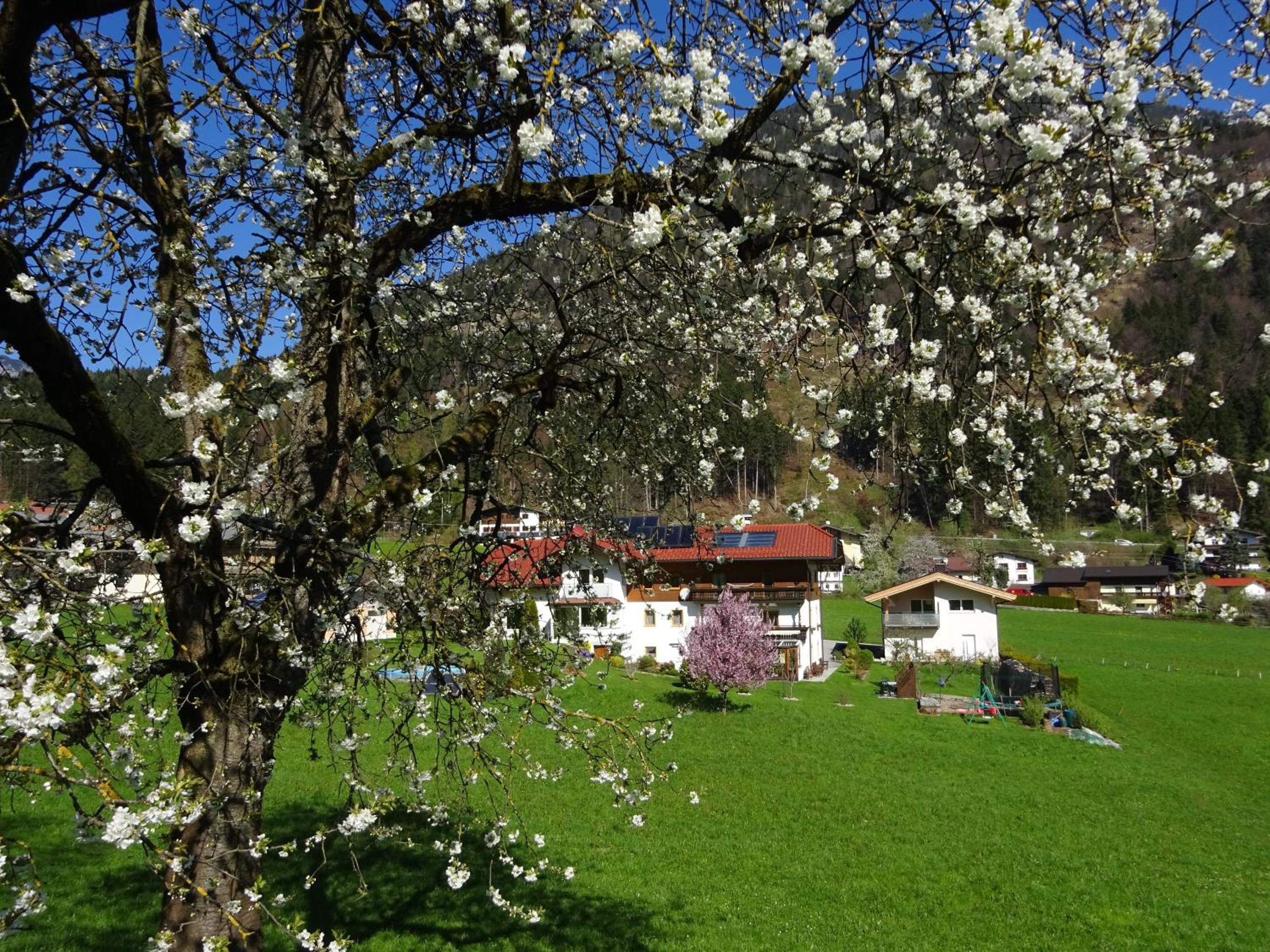 Landhaus Alpenblick