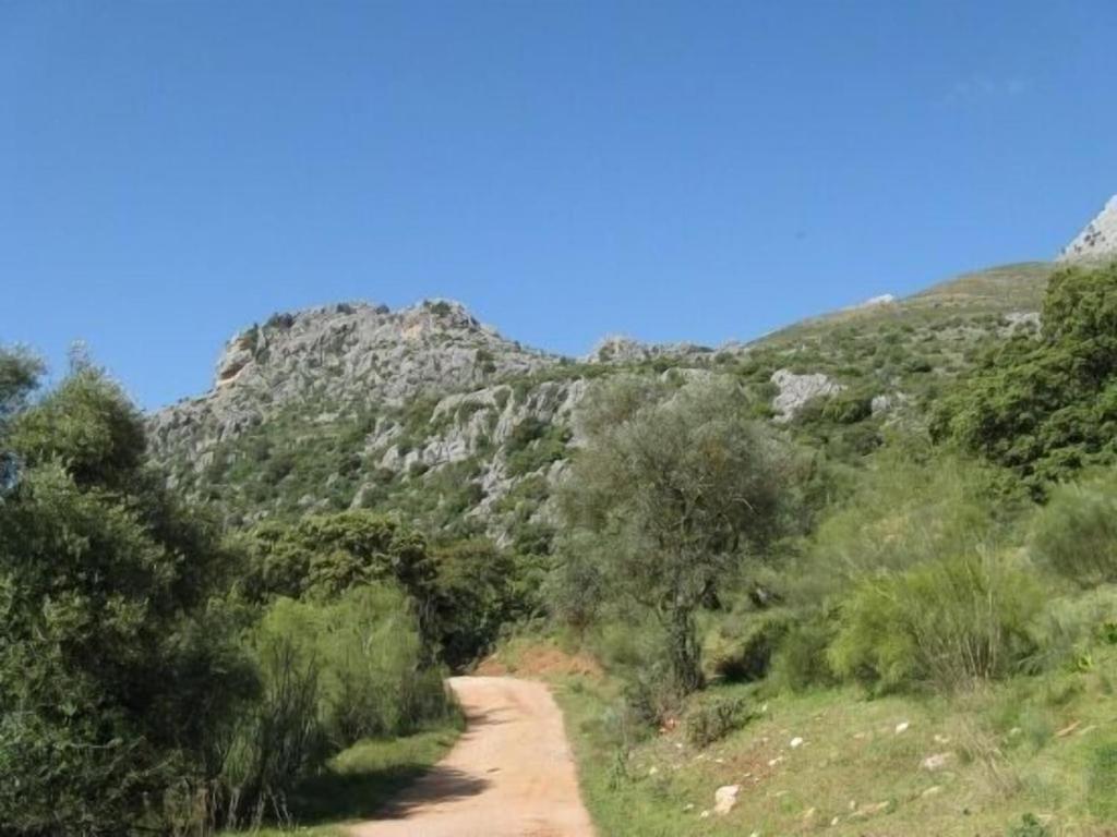 Photo 48