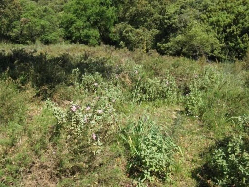 Photo 47
