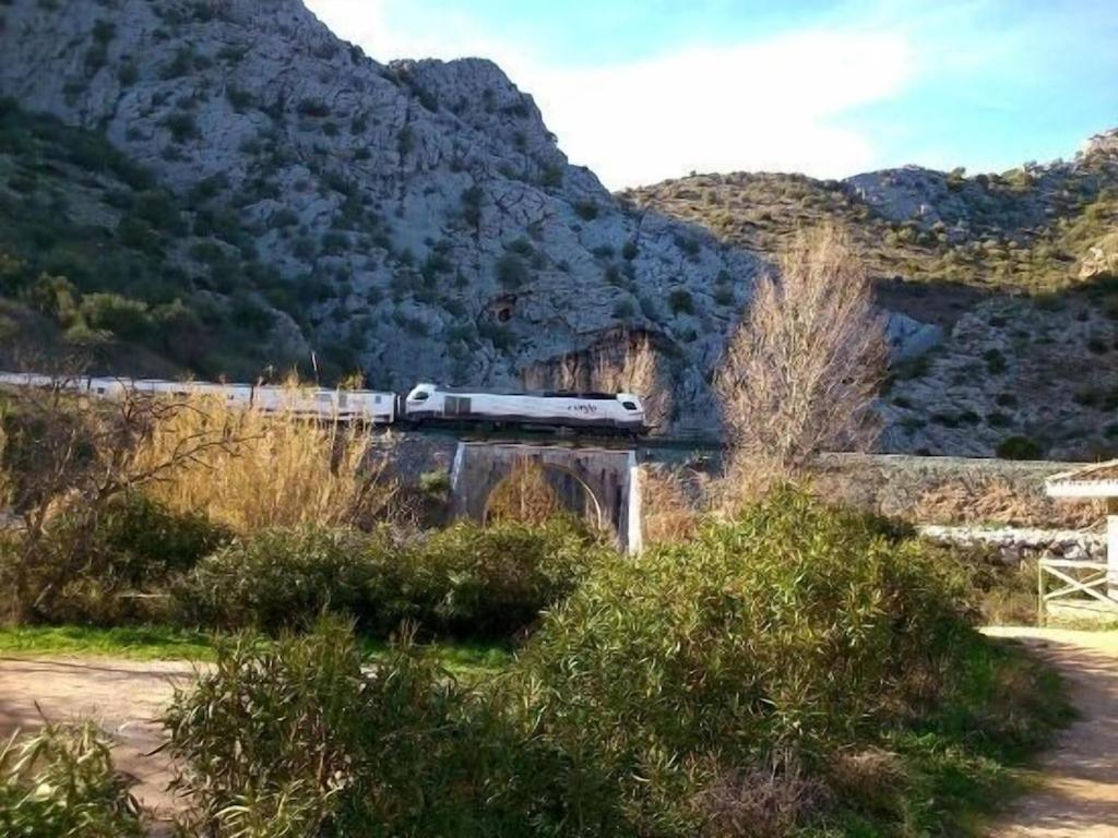 Photo 46