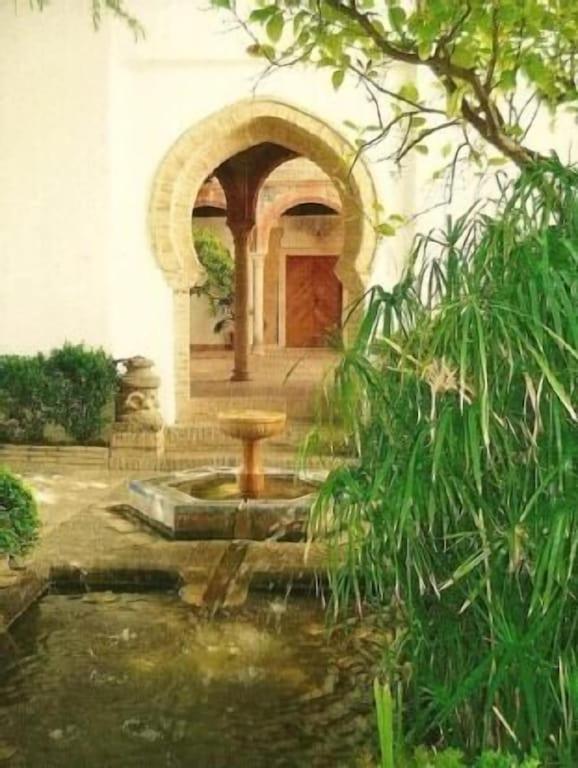 Photo 44