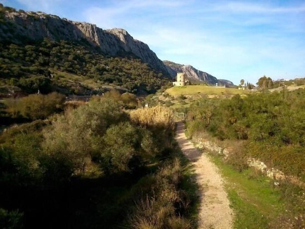 Photo 43