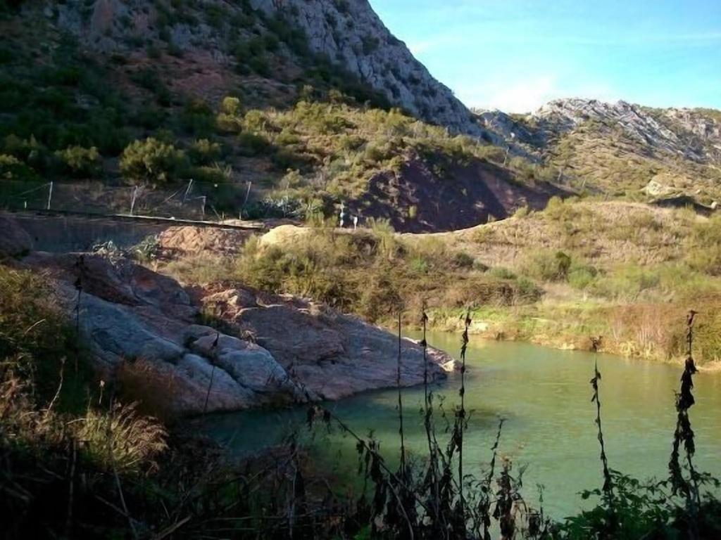 Photo 41
