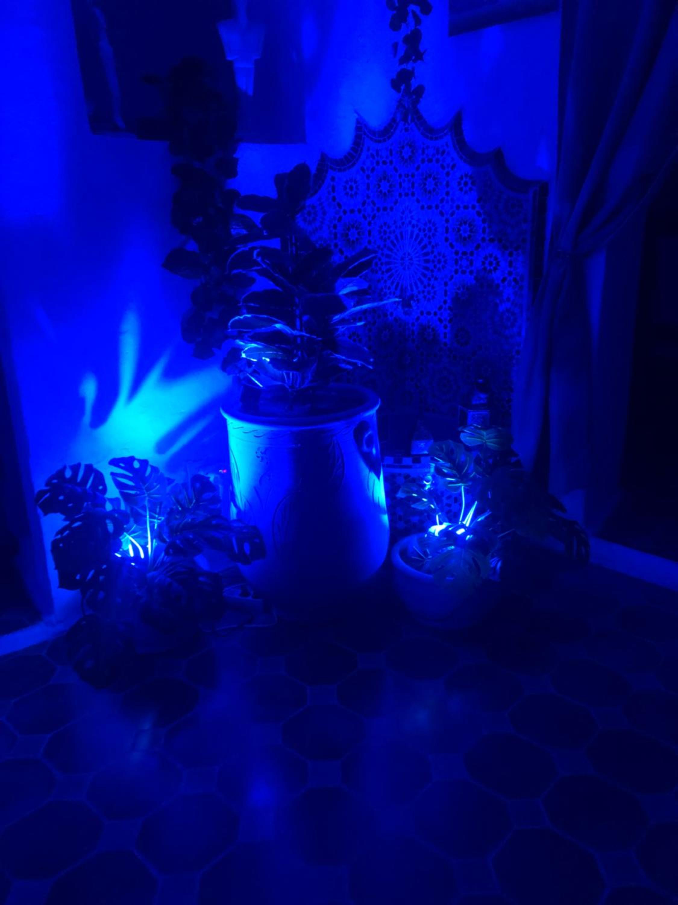 Riad Gloria — photo 130