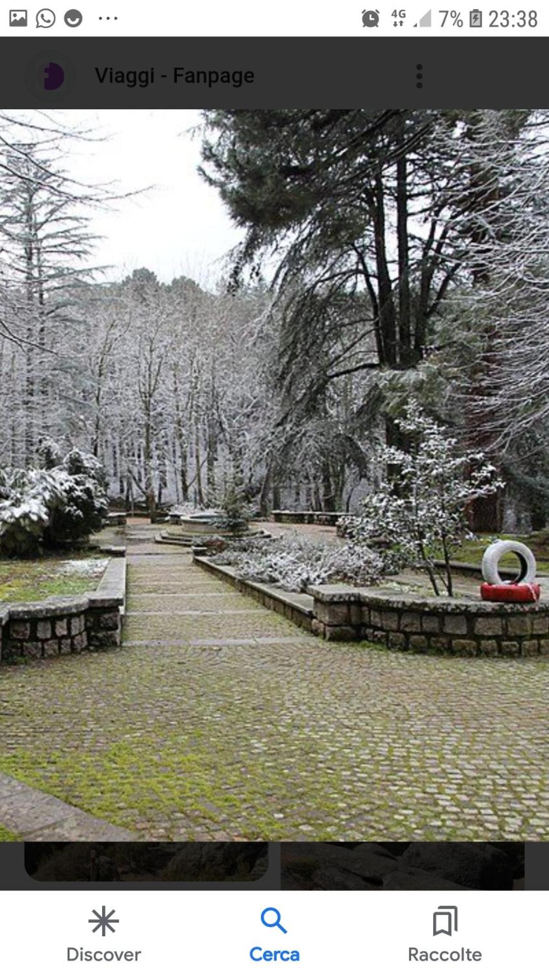B&B DA SILVESTRO, photo 15