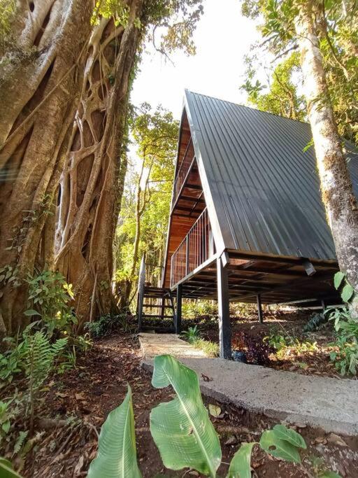 Casa del Árbol (A-Frame) - Ágape del Bosque