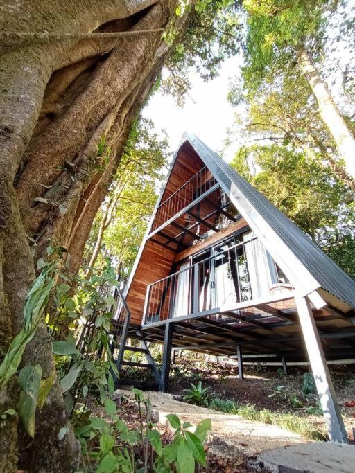 Casa del Árbol (A-Frame) - Ágape del Bosque