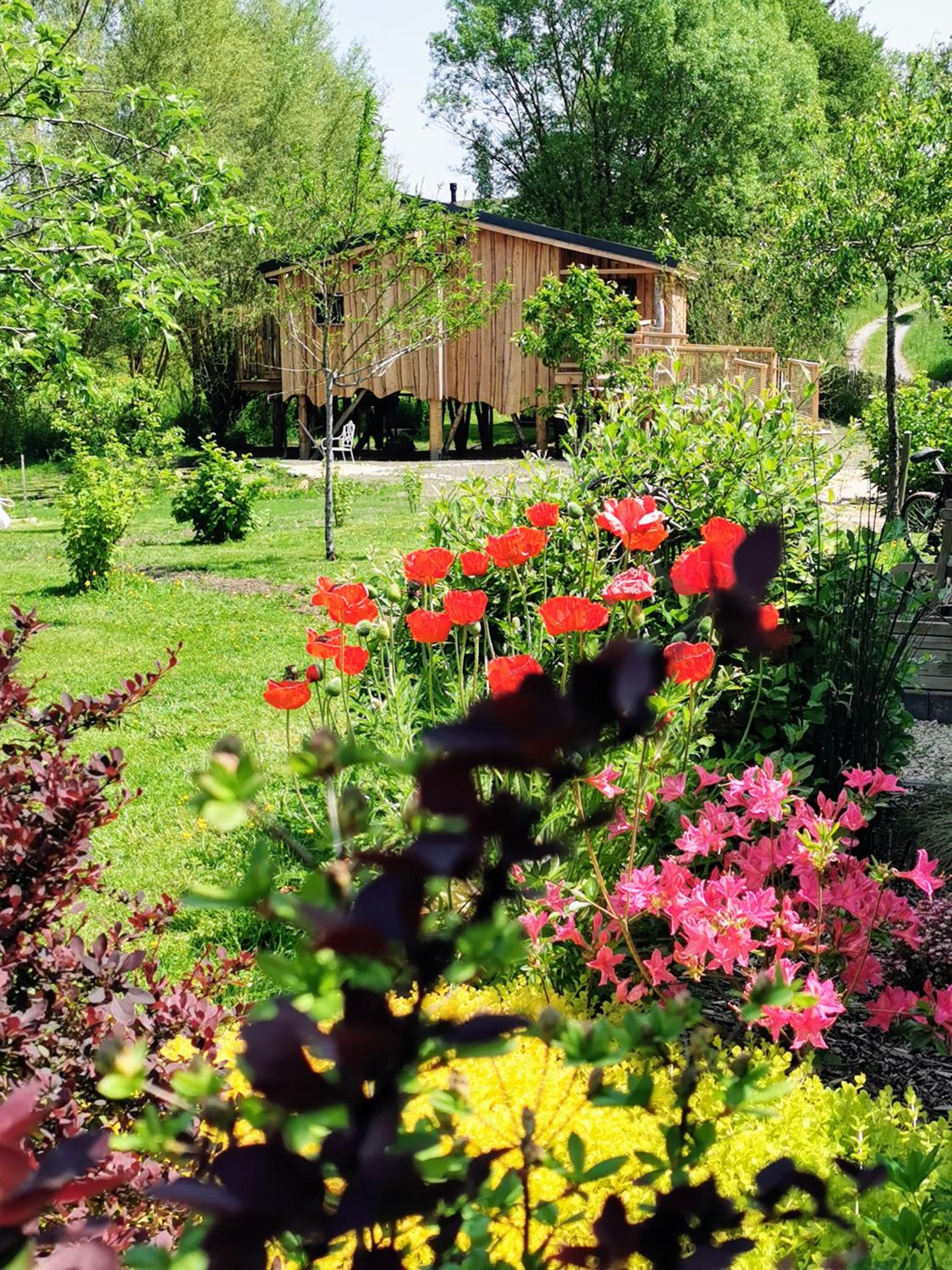 La Cabane d'Ode