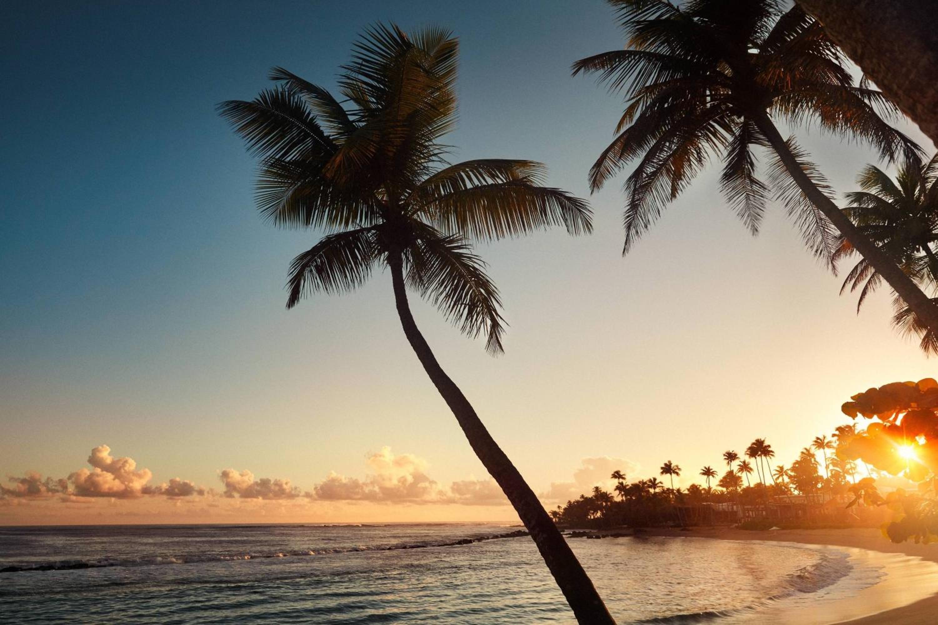Dorado Beach, a Ritz-Carlton Reserve - Property Image 83