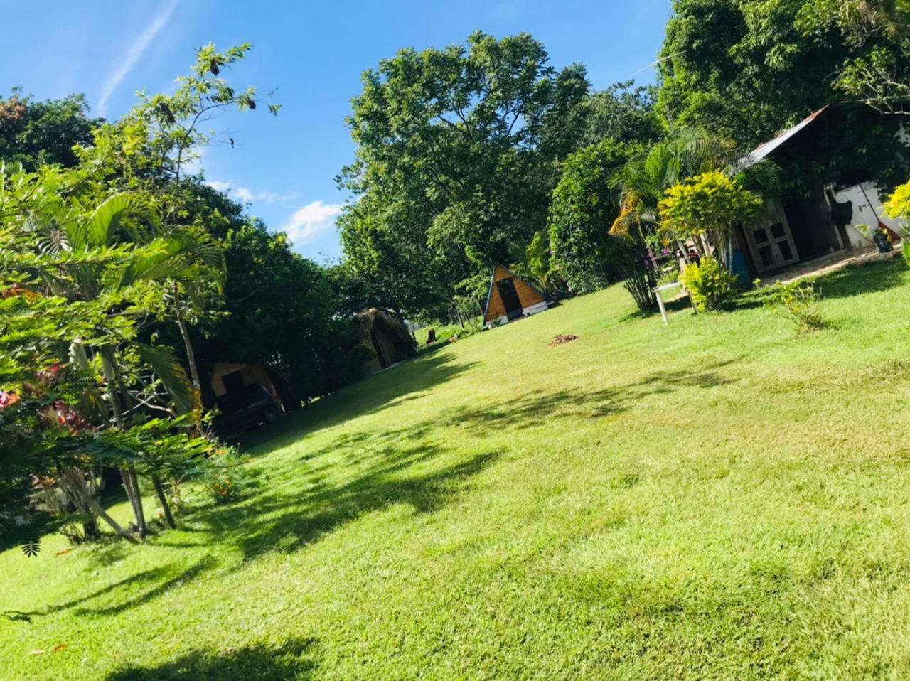 Finca Alto Bonito