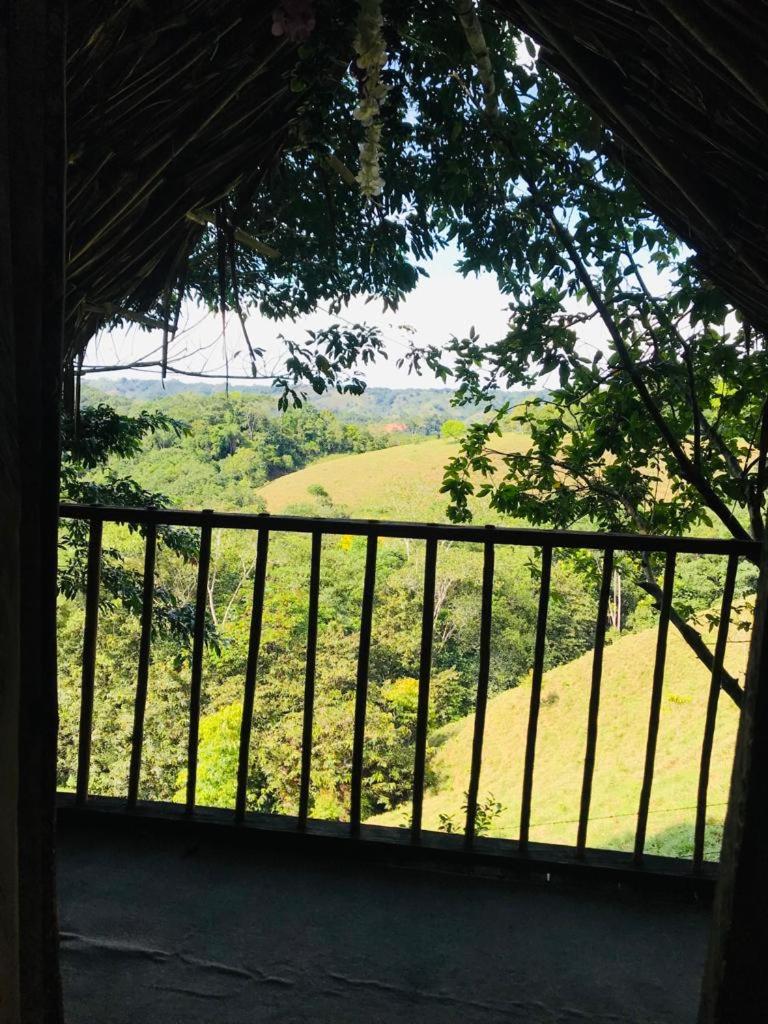 Finca Alto Bonito